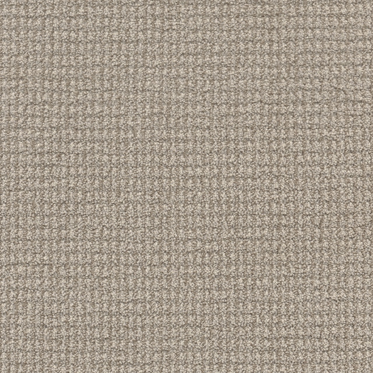 STAINMASTER L5010-9002-0808 (Sample) Meme Tag Gray 35-oz sq yard Solution-dyed polyester Pattern Indoor Carpet