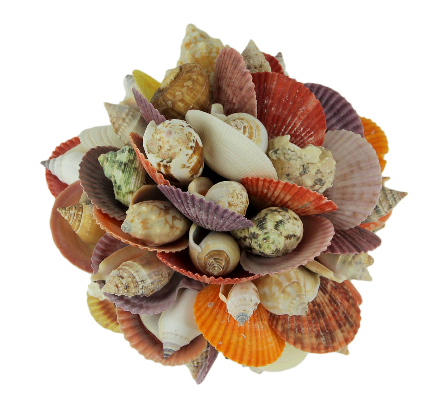Zeckos CON-92262 Mixed Seashells Decor Ball Figurine 7.5 inch