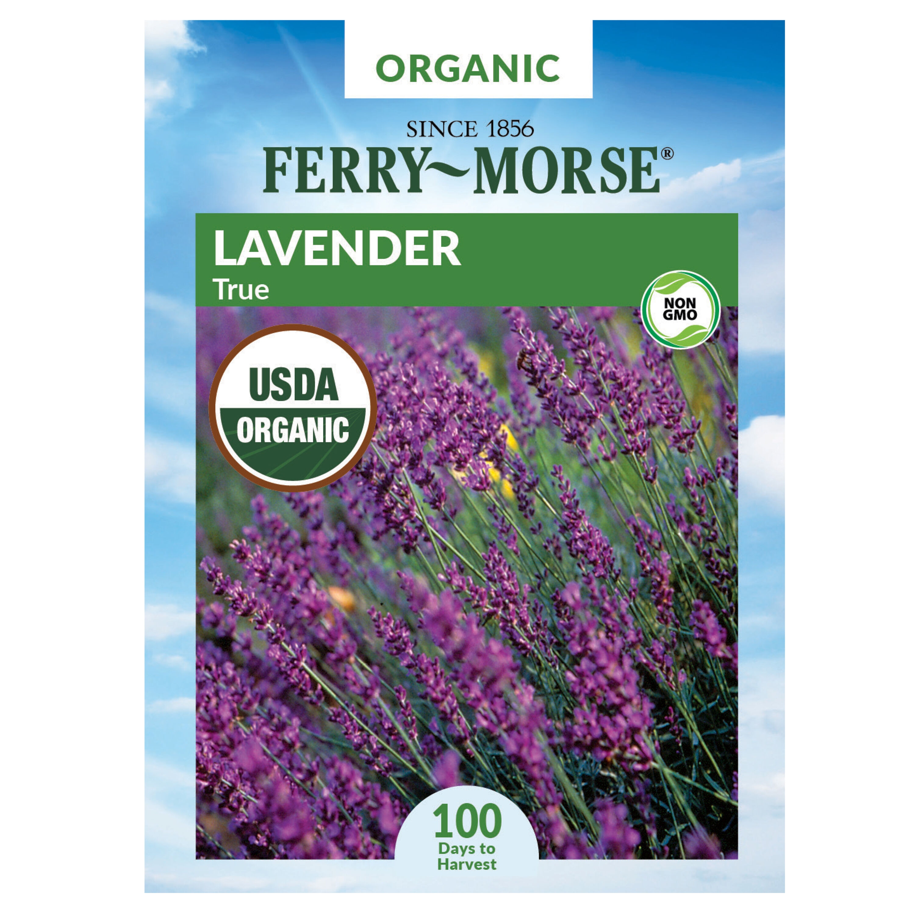 Ferry-Morse 913535.299.643869 Organic Lavender True Organic Herb Seeds 0.1 Gram(s)