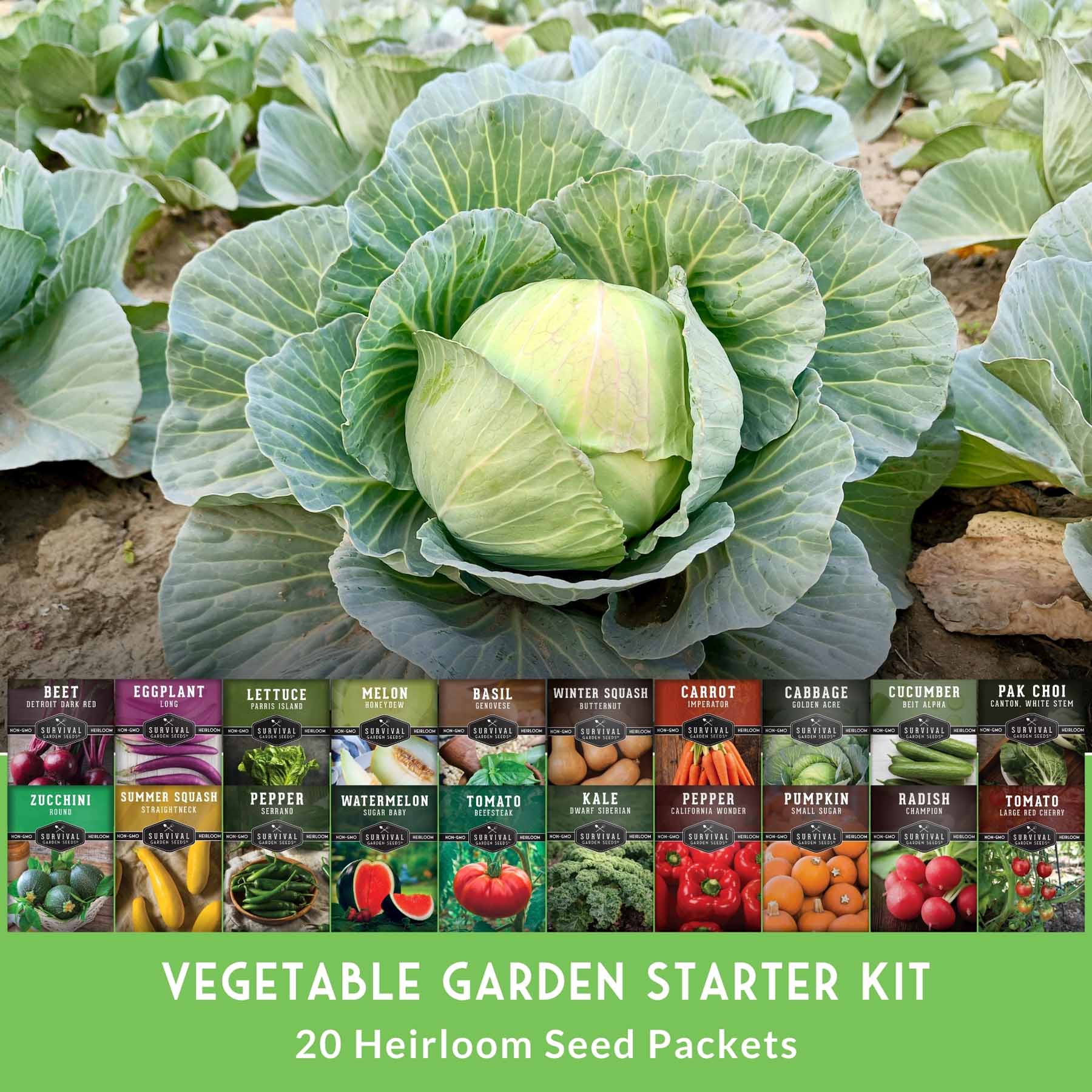 20 Vegetable Starter Heirloom Seeds