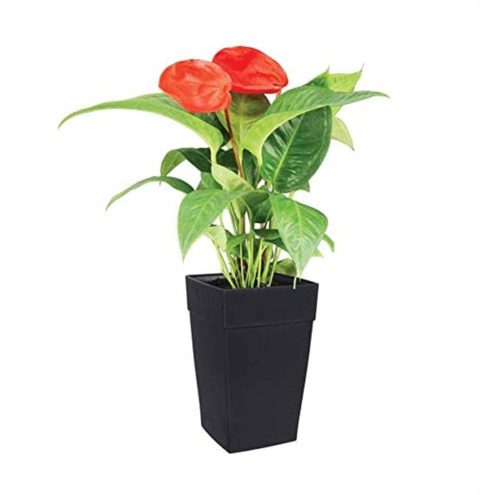 DCN DCN350836 Planter-Window-Box - View #3