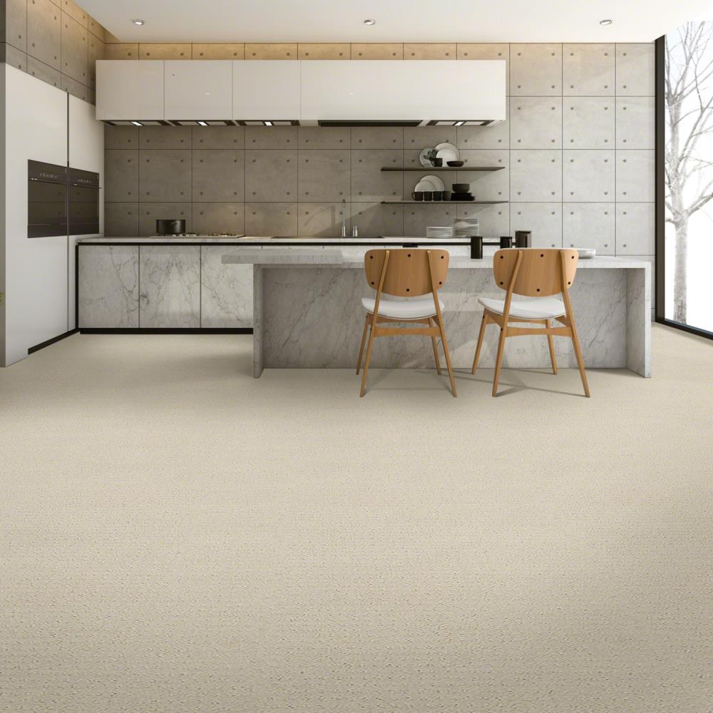 STAINMASTER 7L77000172 Carpet-Panel - View #3