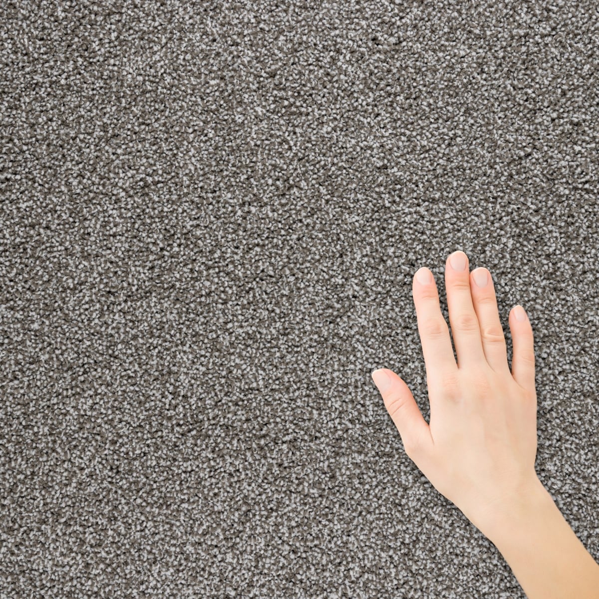 STAINMASTER S9850-10010-1200-MO Carpet-Panel - View #3