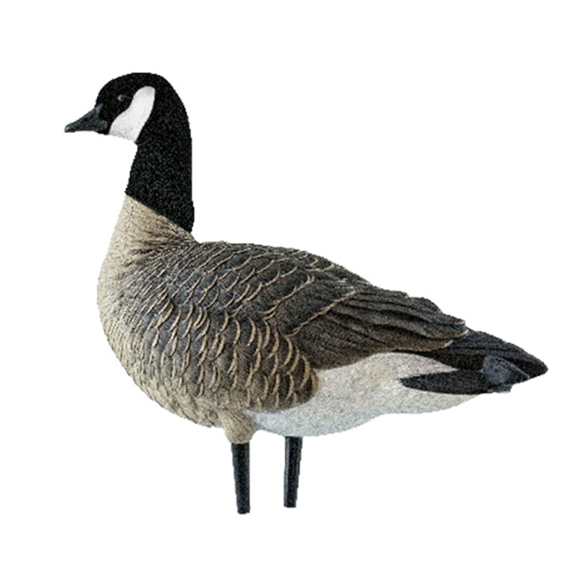  Avian X 399280 Hunting-Equipment - View #11
