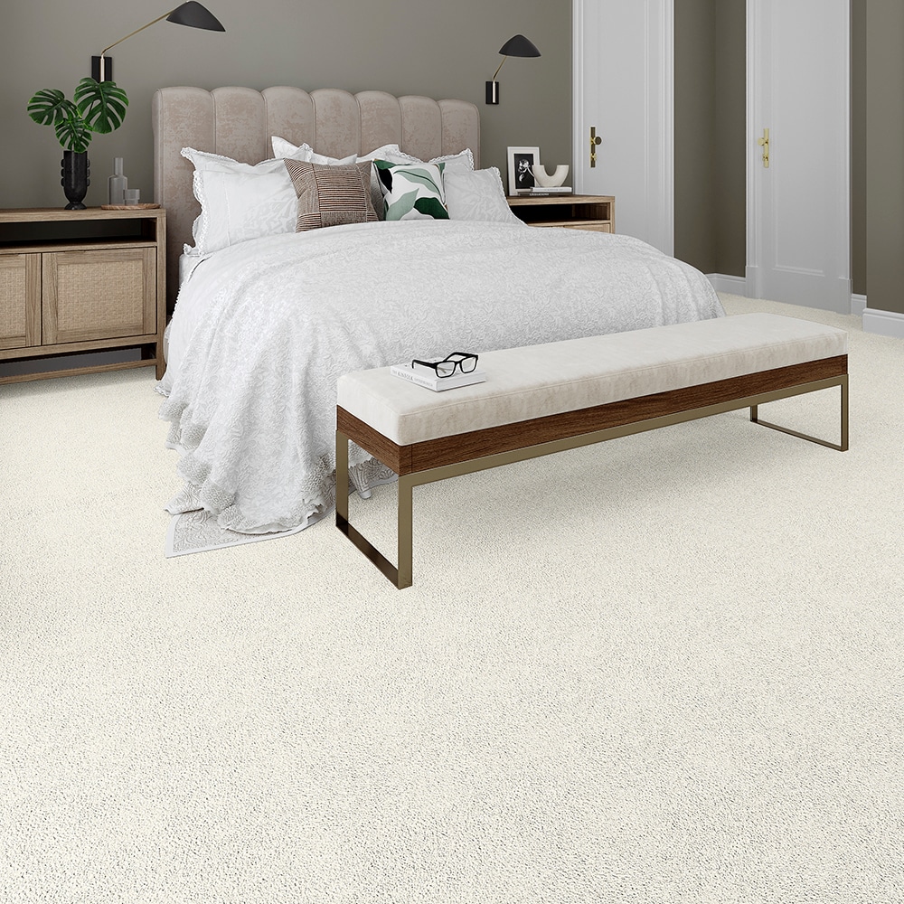 STAINMASTER PetProtect STP25-L009-0808 Carpet-Samples - View #2