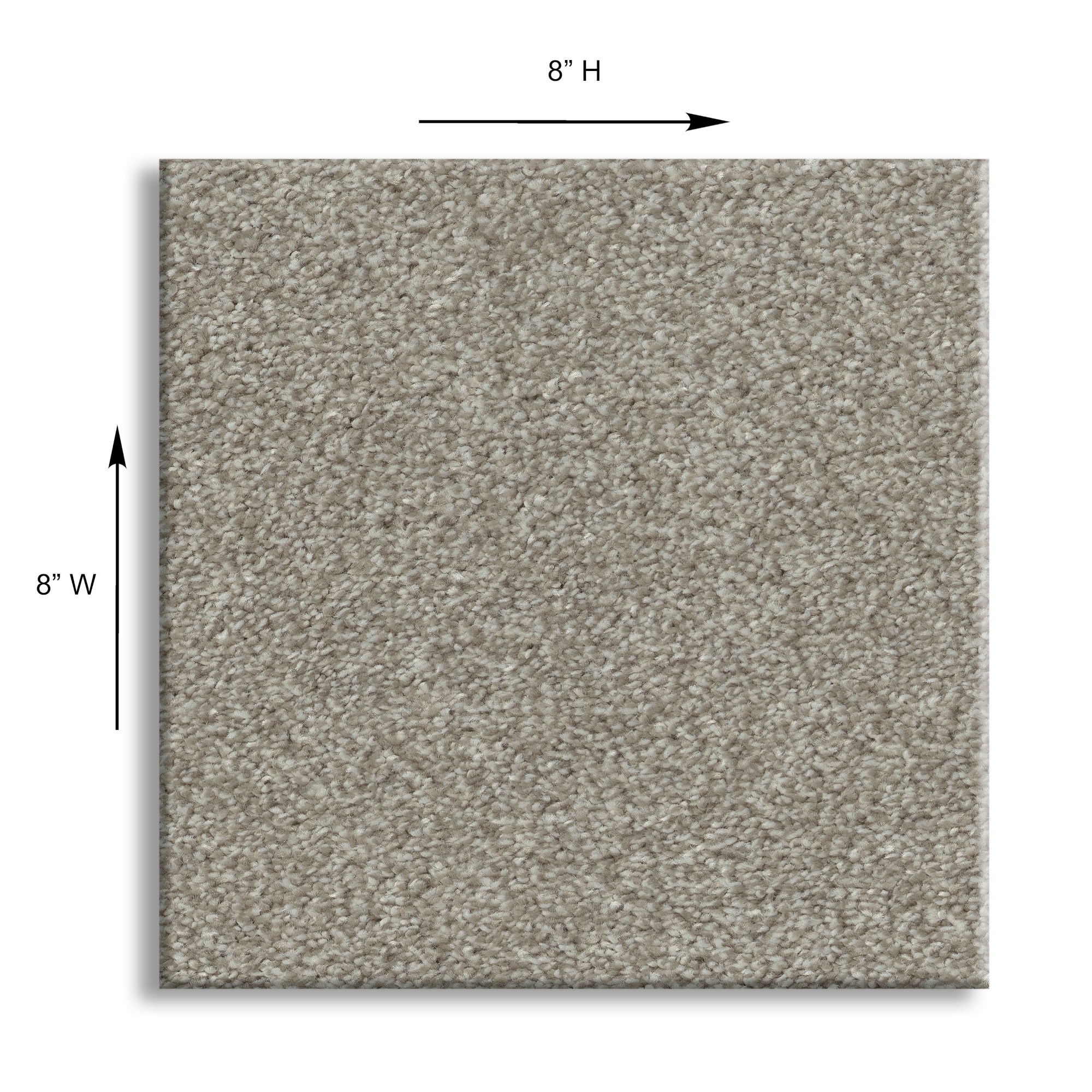 STAINMASTER PetProtect 7L929-535-SAMP Carpet-Samples - View #11
