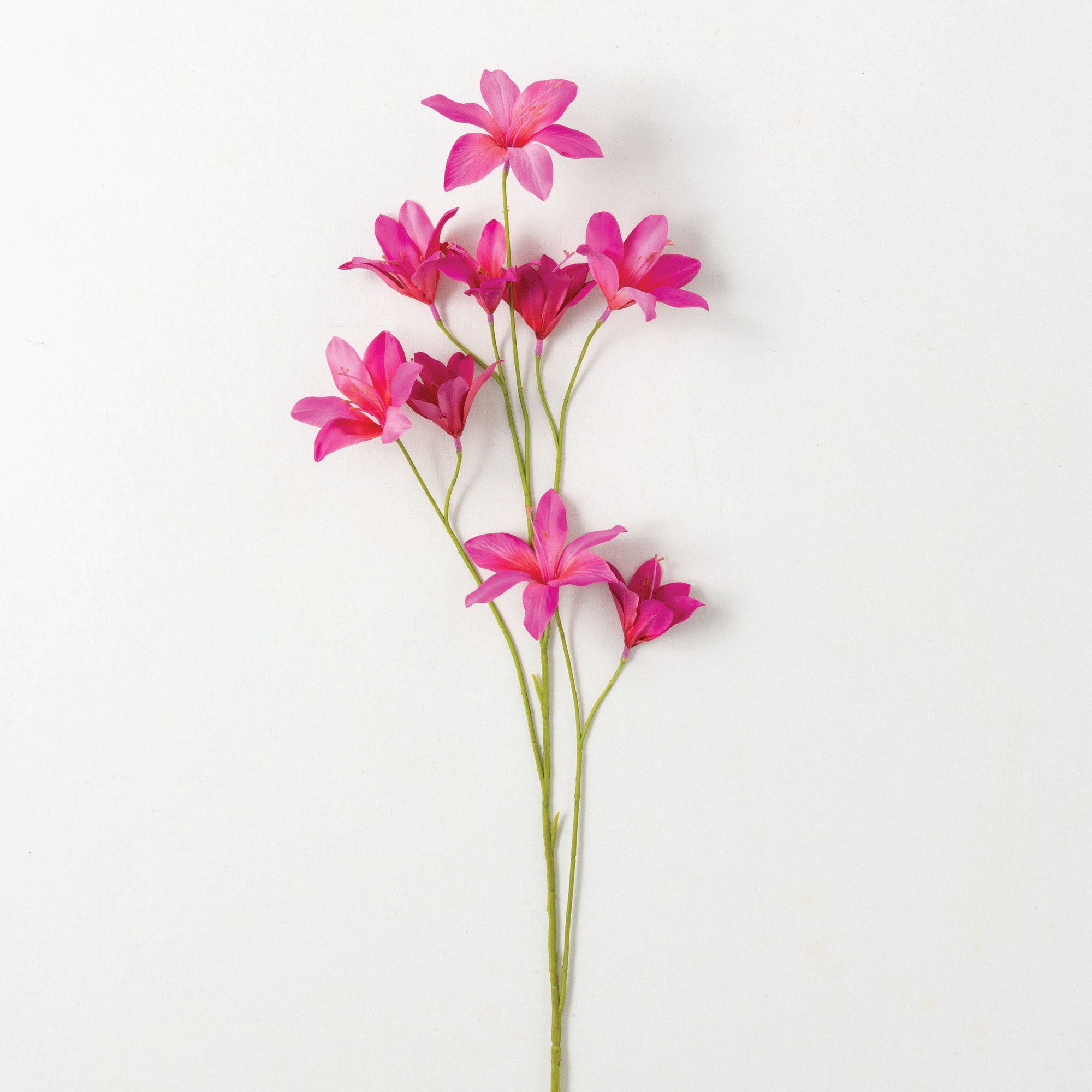 Sullivans GA1690 BEA 41-Inches Barbie Pink Indoor Desktop Mixed greenery Artificial flower