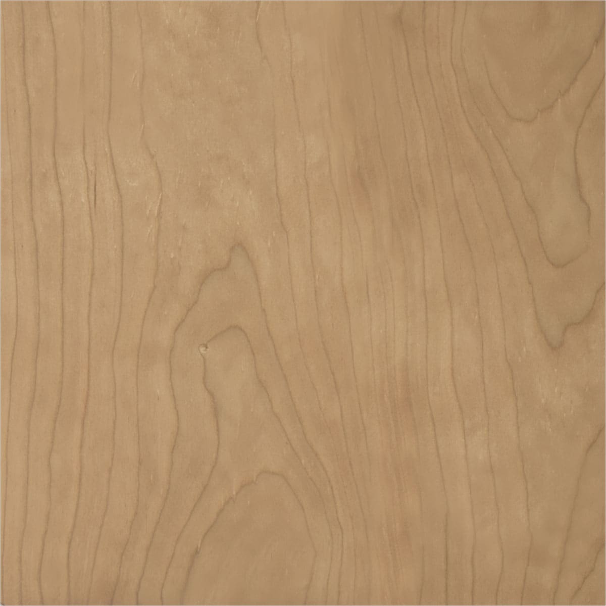 Ekena Millwork ROS05X05X01LFMA rosettes - View #4