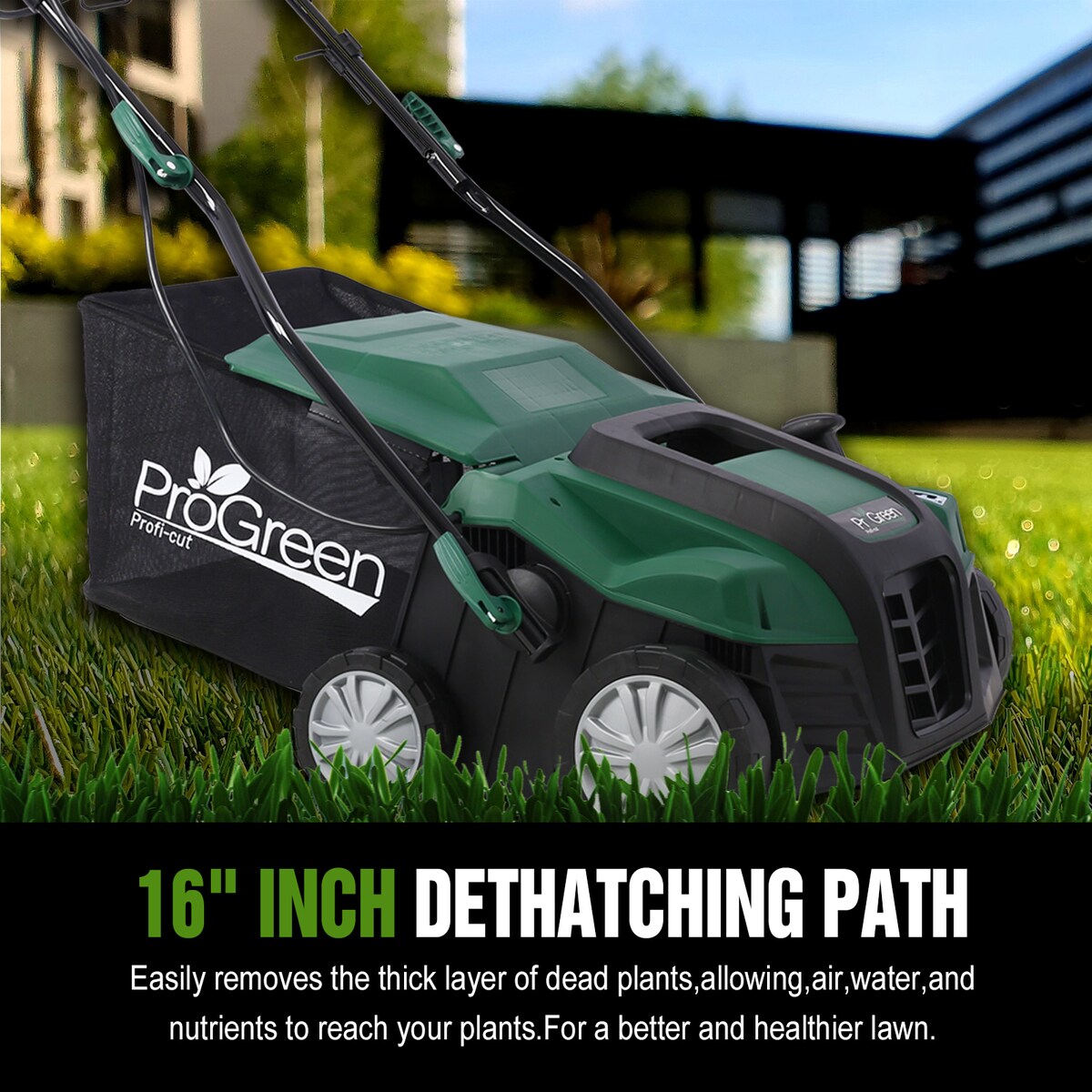 Loheer W46568154 lawnsweeper - View #2