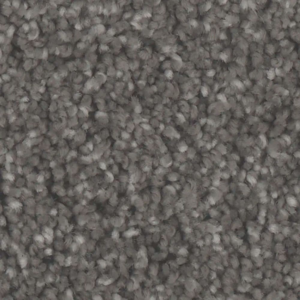 STAINMASTER S9977-20009-1200-MO Paradise III Cove Gray 77-oz sq yard Polyester Textured Indoor Carpet