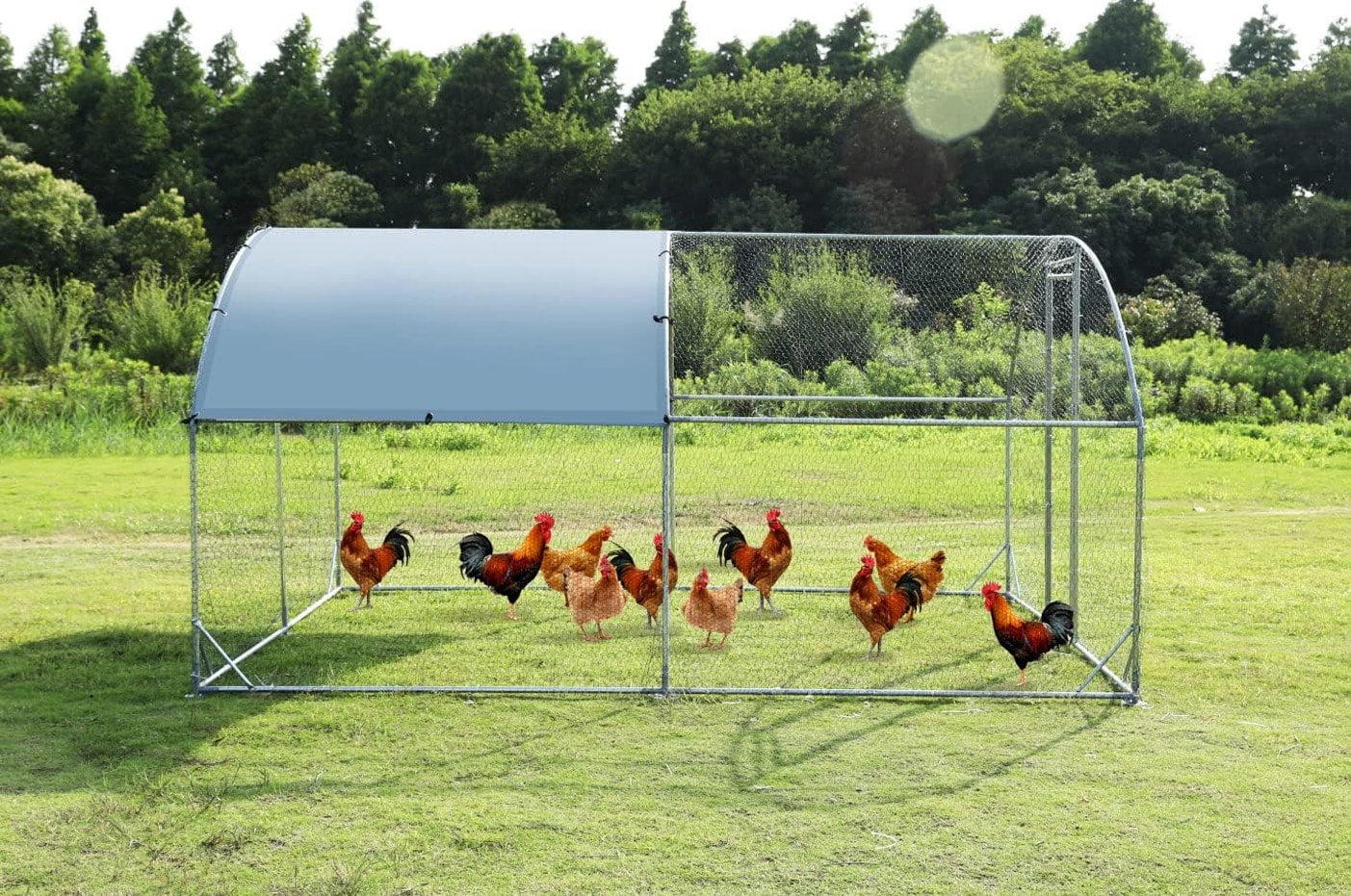 Gaierptone CRXKO0MB3ZD Chicken-Coops-Rabbit-Hutches - View #7