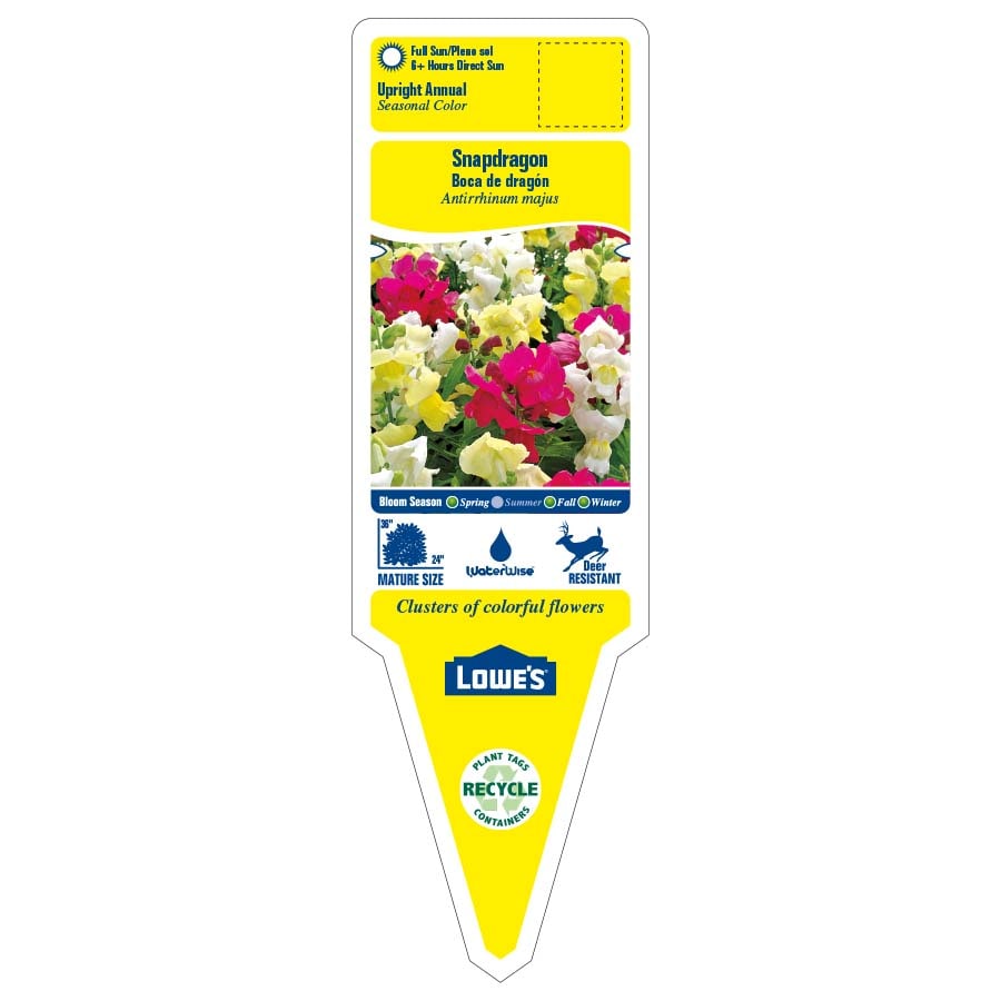 Lowe's 3339357 annuals - View #2