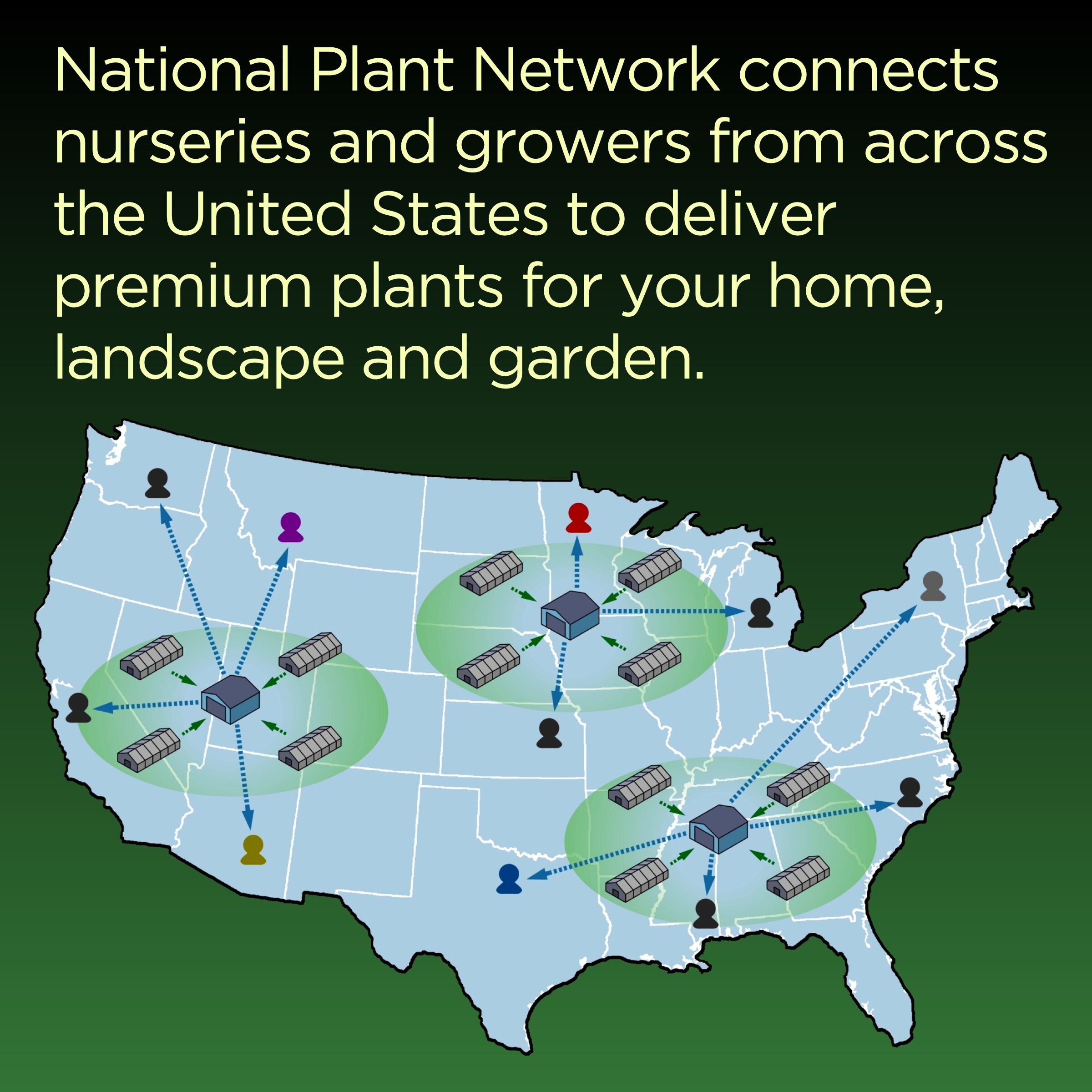 National Plant Network LW4695 hseplants - View #9