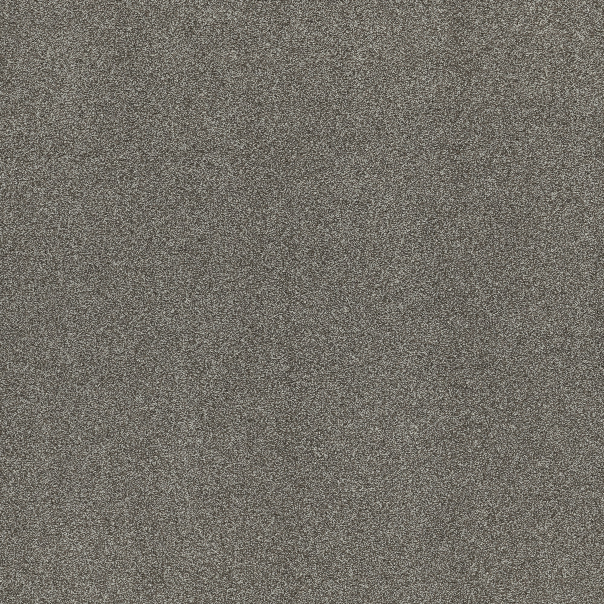 STAINMASTER PetProtect 7L928-537-SAMP (Sample) 8-in x 8-in with LeakDefense Splash Dance I Studio Gray 58.5-oz sq yard Polyester Textured Indoor Carpet
