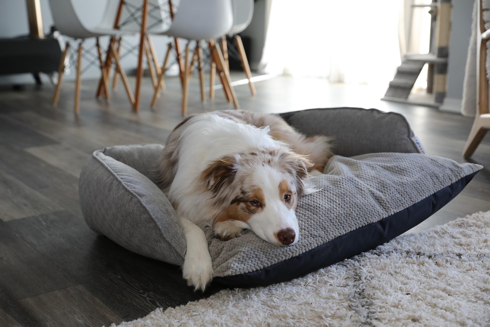 La-Z-Boy 81189 Pet-Beds - View #2