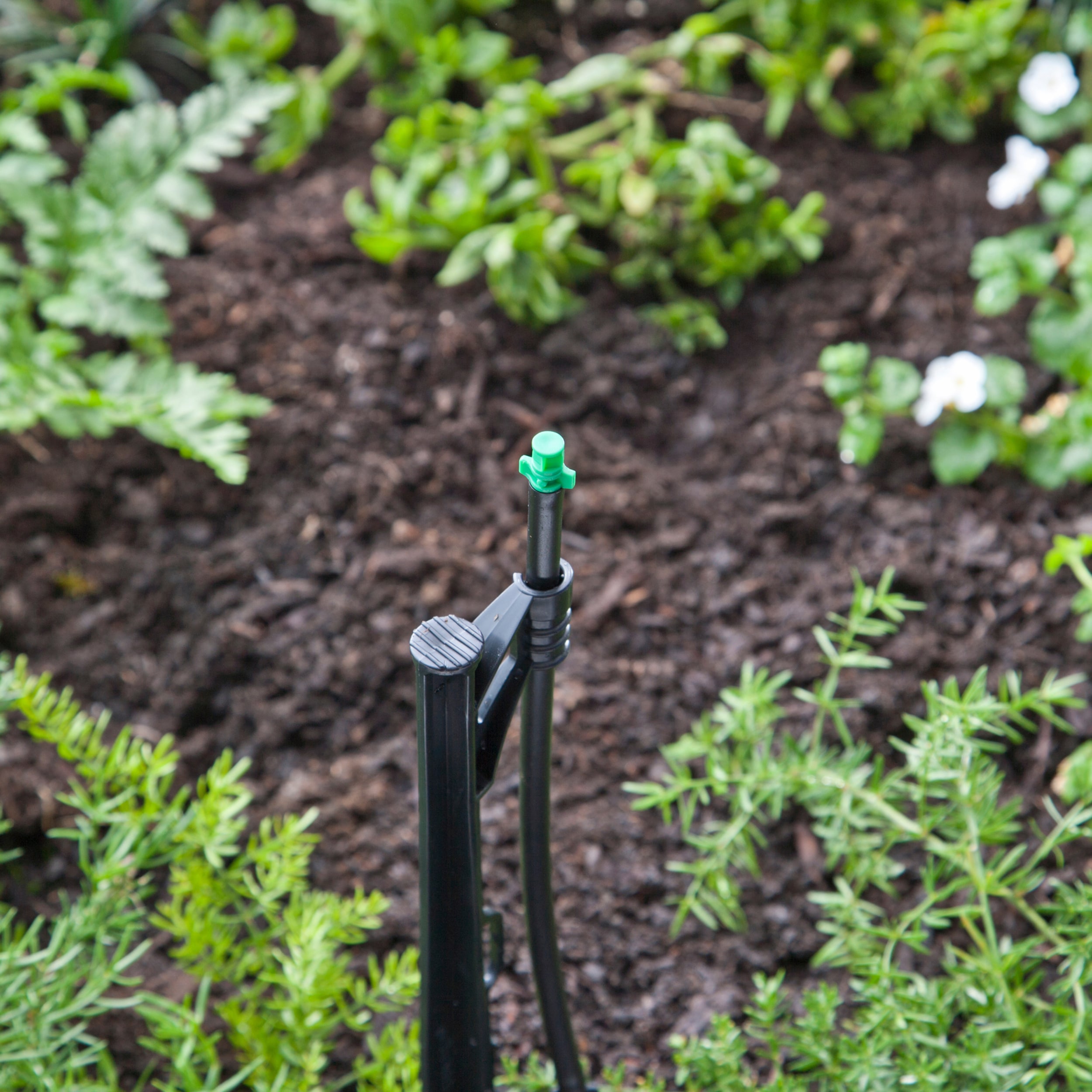 Raindrip 21.8 GPH Quarter-circle Drip Irrigation Multi-stream Dripper ...