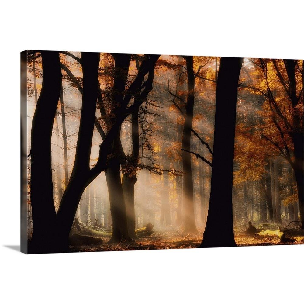 GreatBigCanvas Autumn Light by Jan Paul Kraaij 24-in H x 36-in W ...