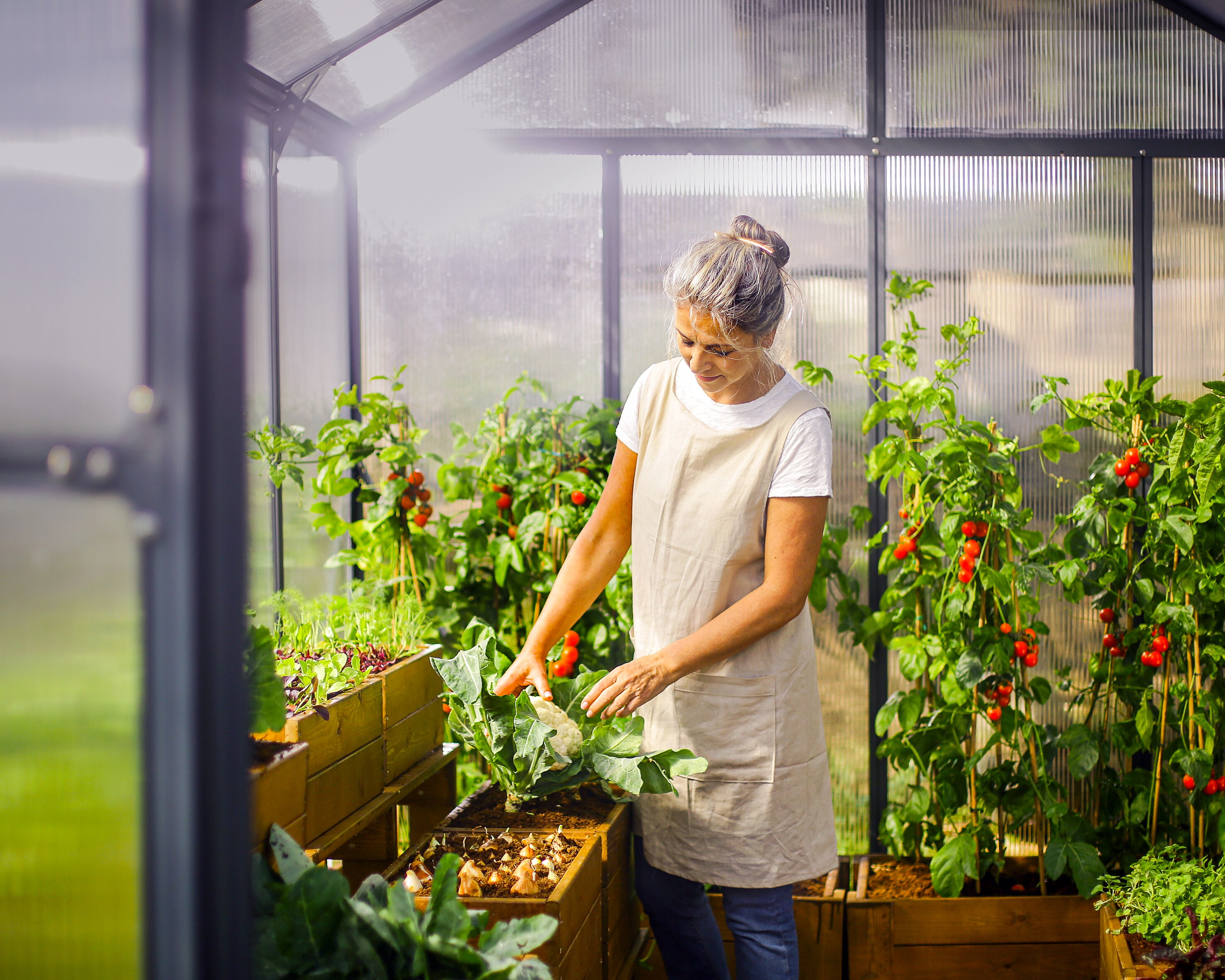 Canopia by Palram 702210 greenhouses - View #15