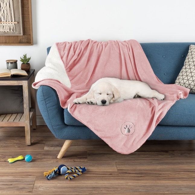 Pet blanket for couch online