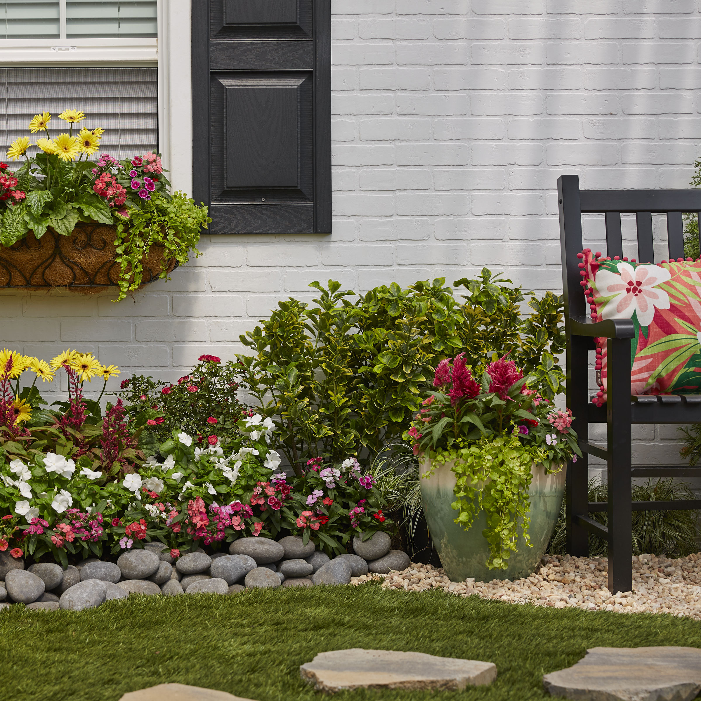 Lowe's NURSERY annuals - View #3