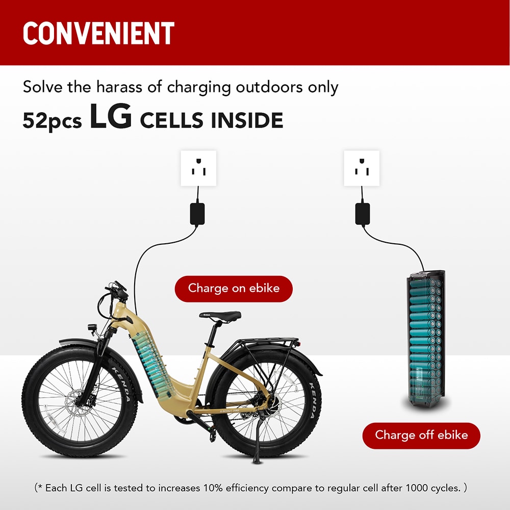 Young Electric 12803024YL bikes - View #3