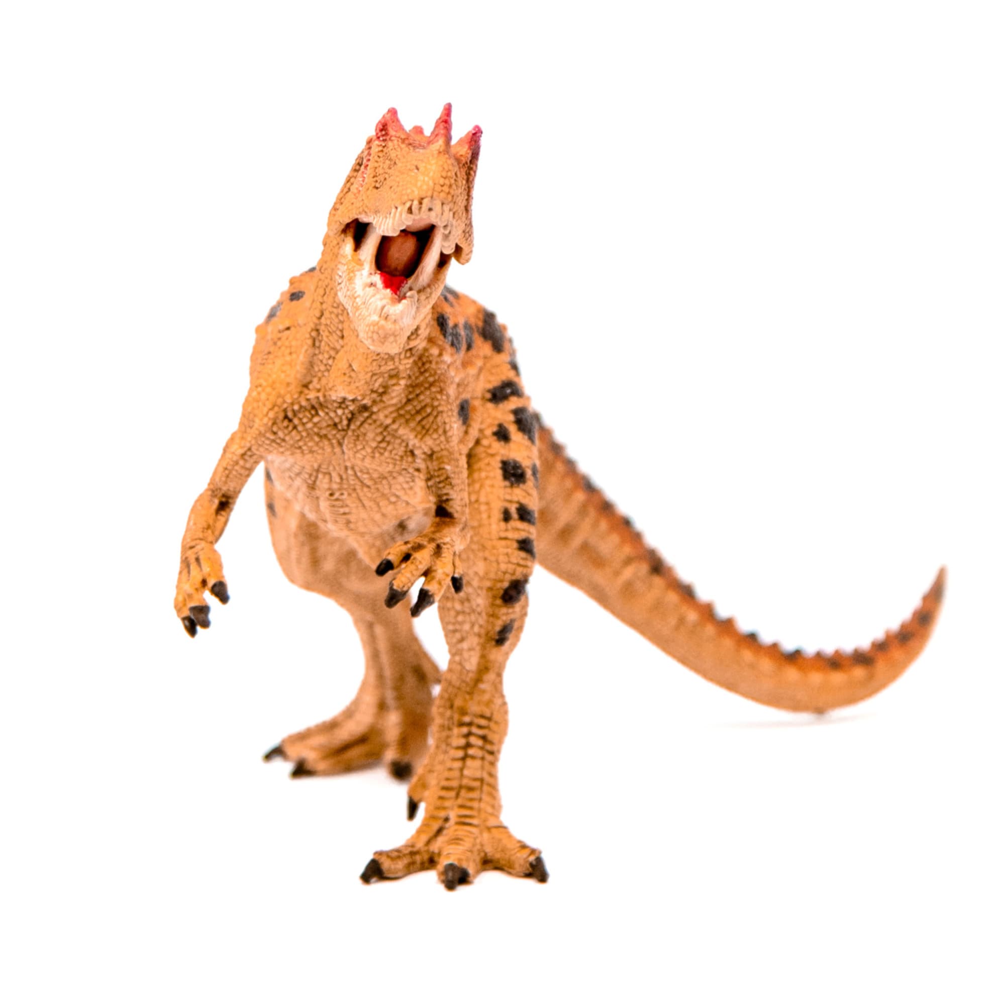 schleich G4059433272313 Play-Toys - View #3