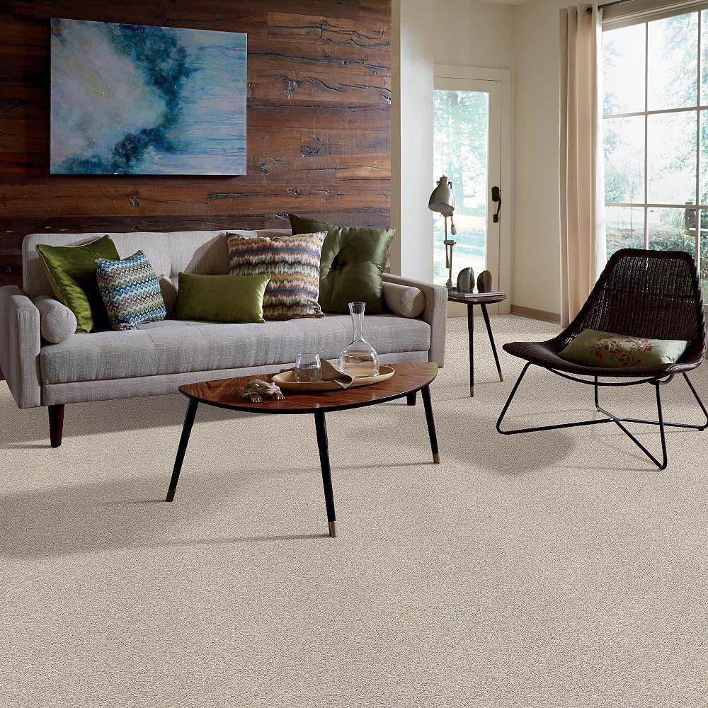 STAINMASTER B707400005 Carpet-Panel - View #4