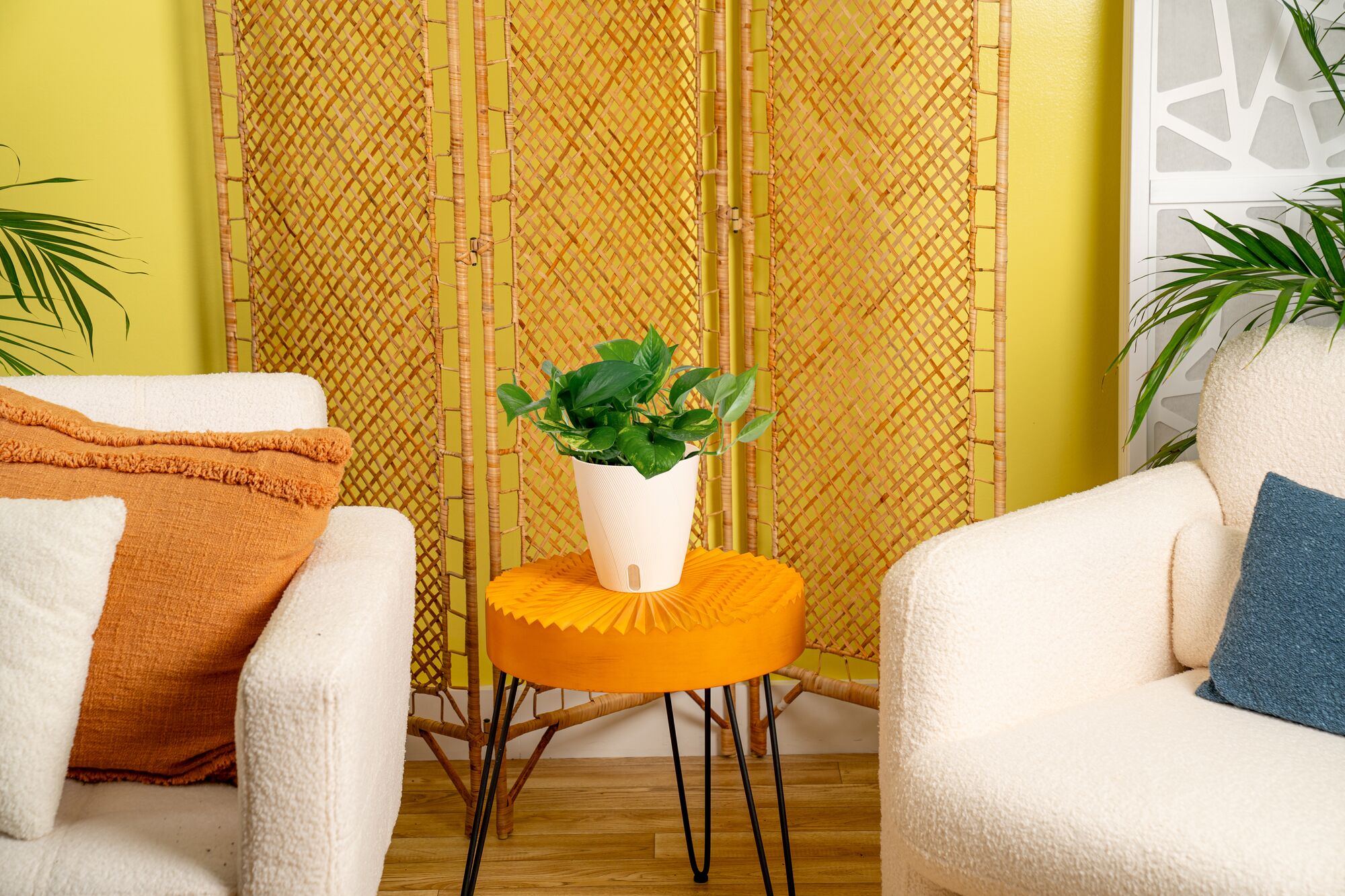 Costa Farms 5021792 hseplants - View #3