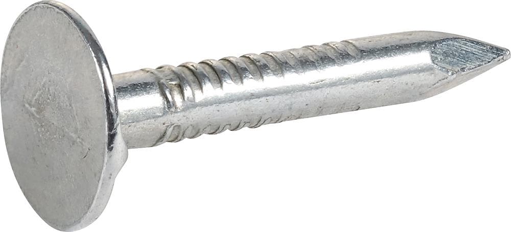 177 PC 1 LB Electrogalvanized 1-1/2" Roofing Nails 11 GA 