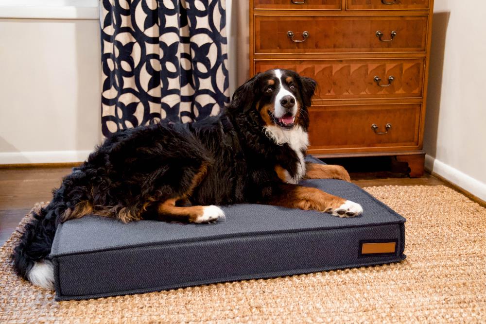 The Houndry Rectangular Navy Newfie Sunbrella Acrylic Fabric Dog Bed ...