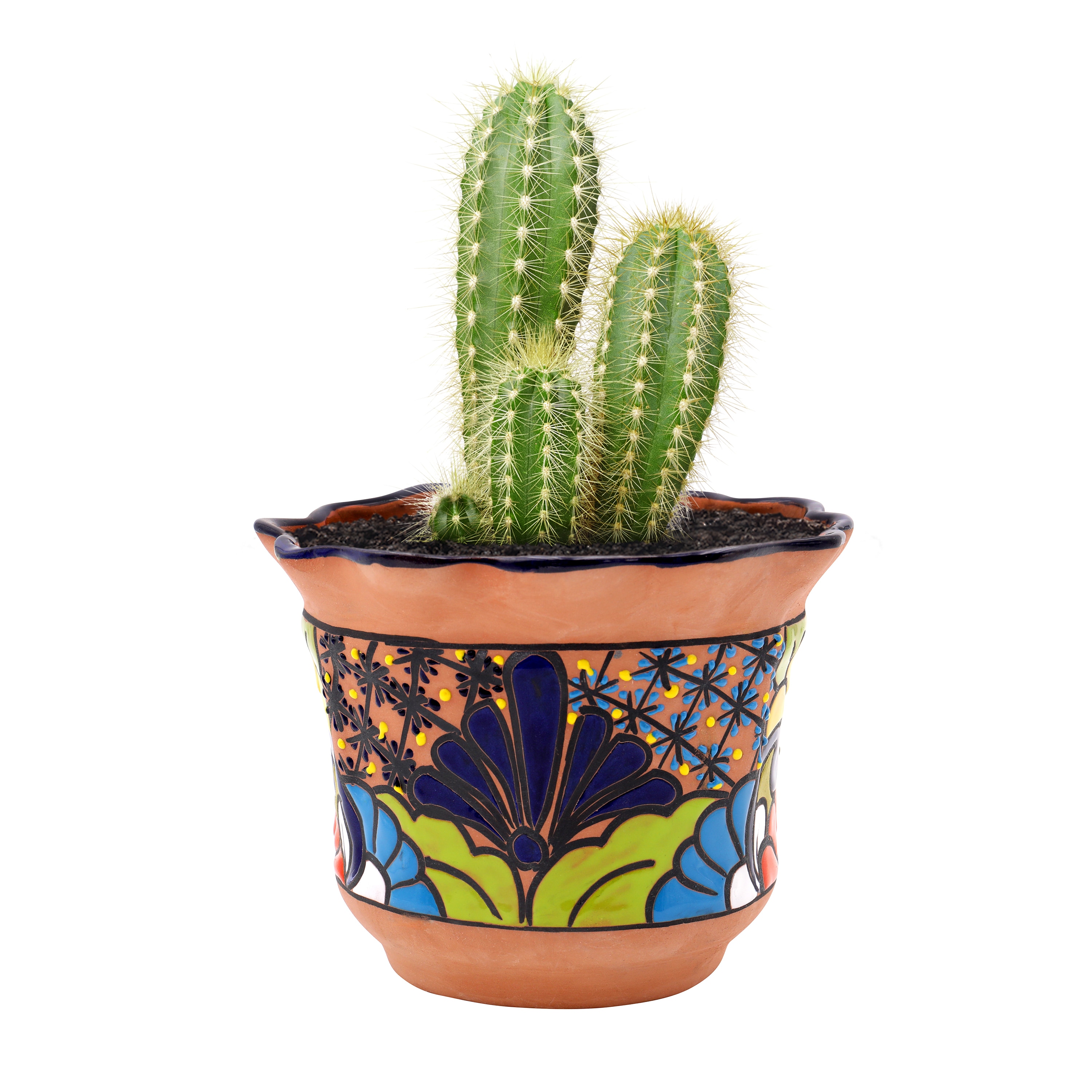 Evergreen 2CG841 Round 9.0-in W Medium Multiple colors/finishes Ceramic Indoor/Outdoor Planter with Drainage Holes