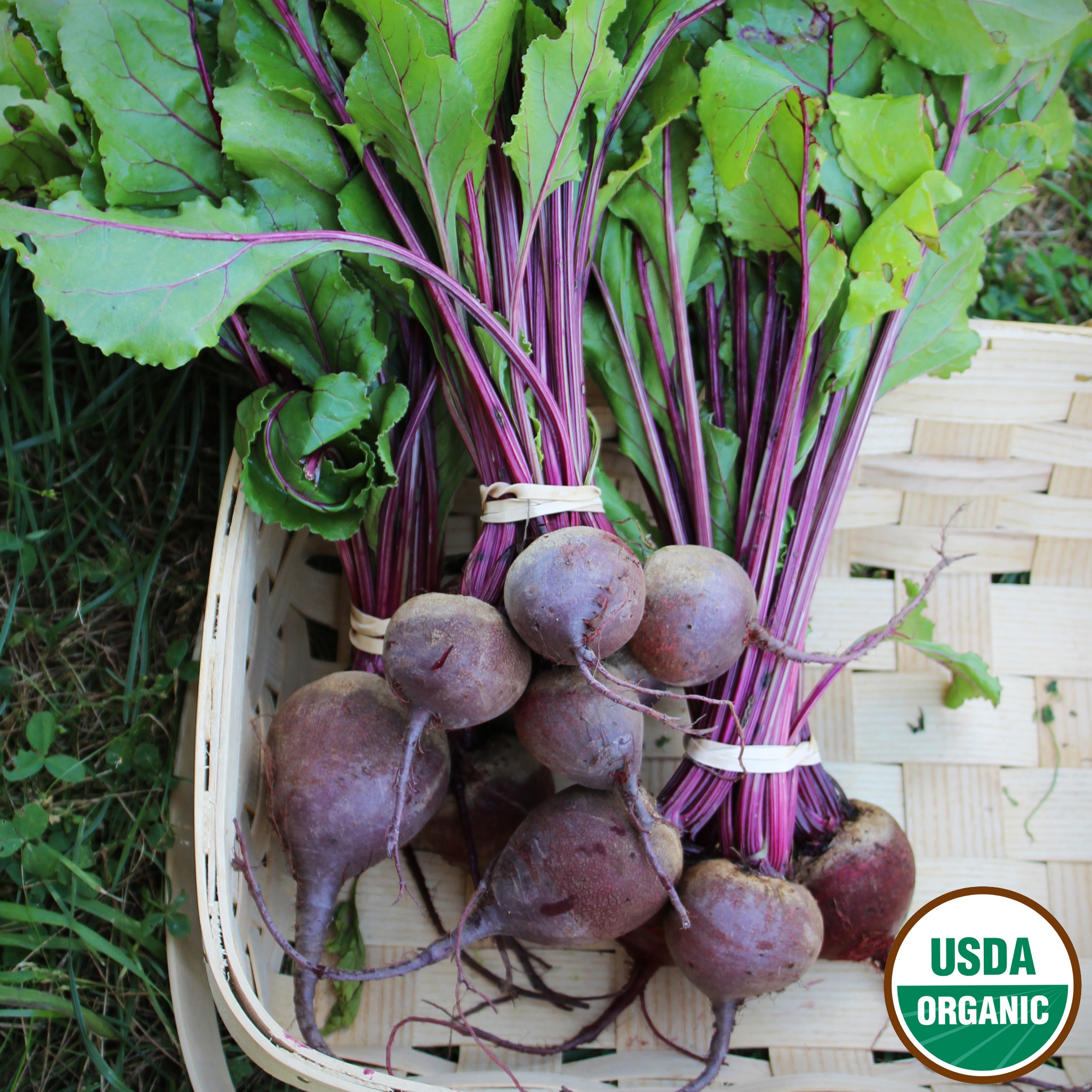 Ferry-Morse LC25.1310 Vegetable-Herb-Seeds - View #3