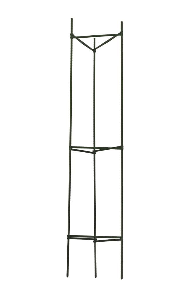 Gardener's Blue Ribbon TMC60 60-in Powder-coated galvanized steel wire Triangular Tomato Cage