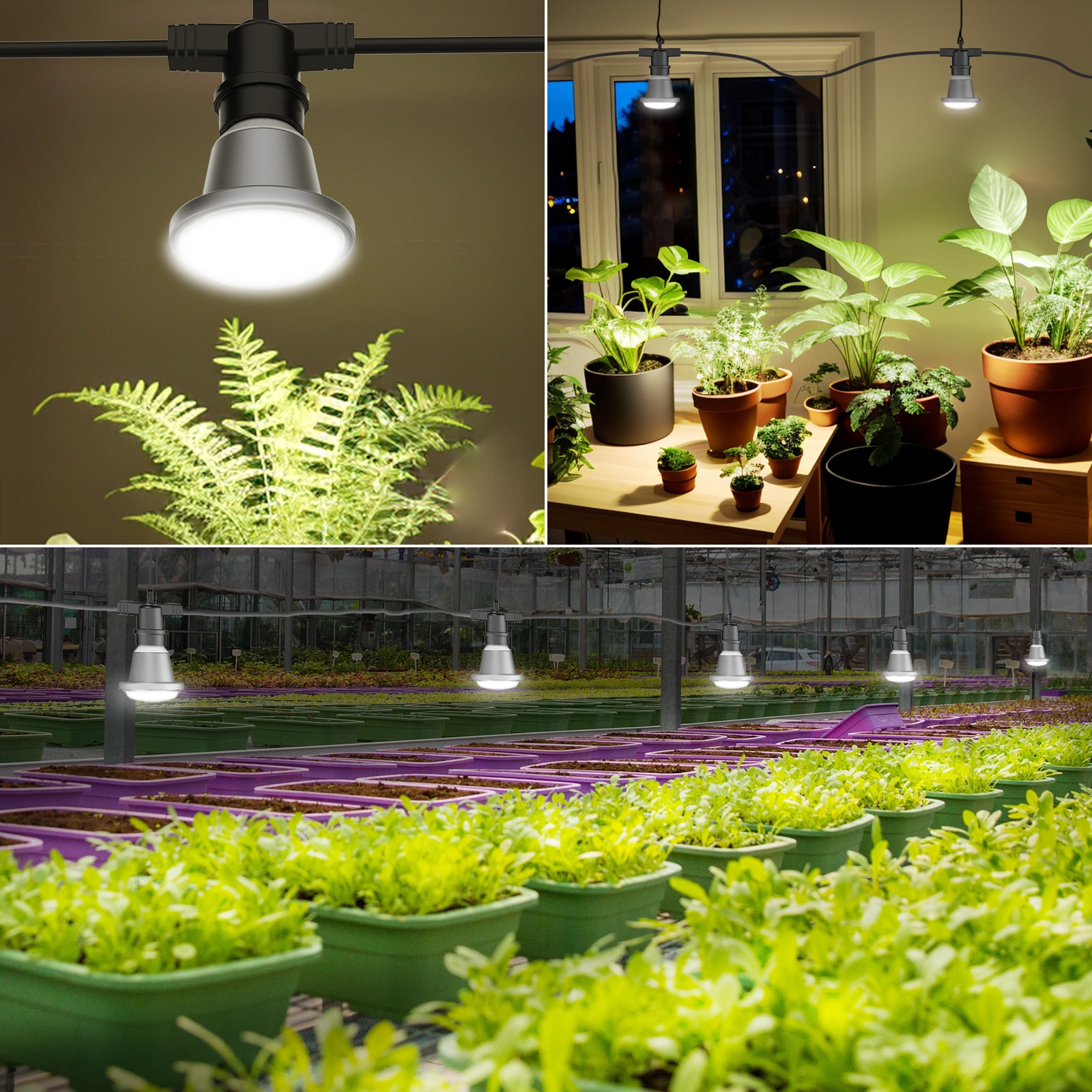 SANSI 01-03-001-201206 Grow-Lights - View #2