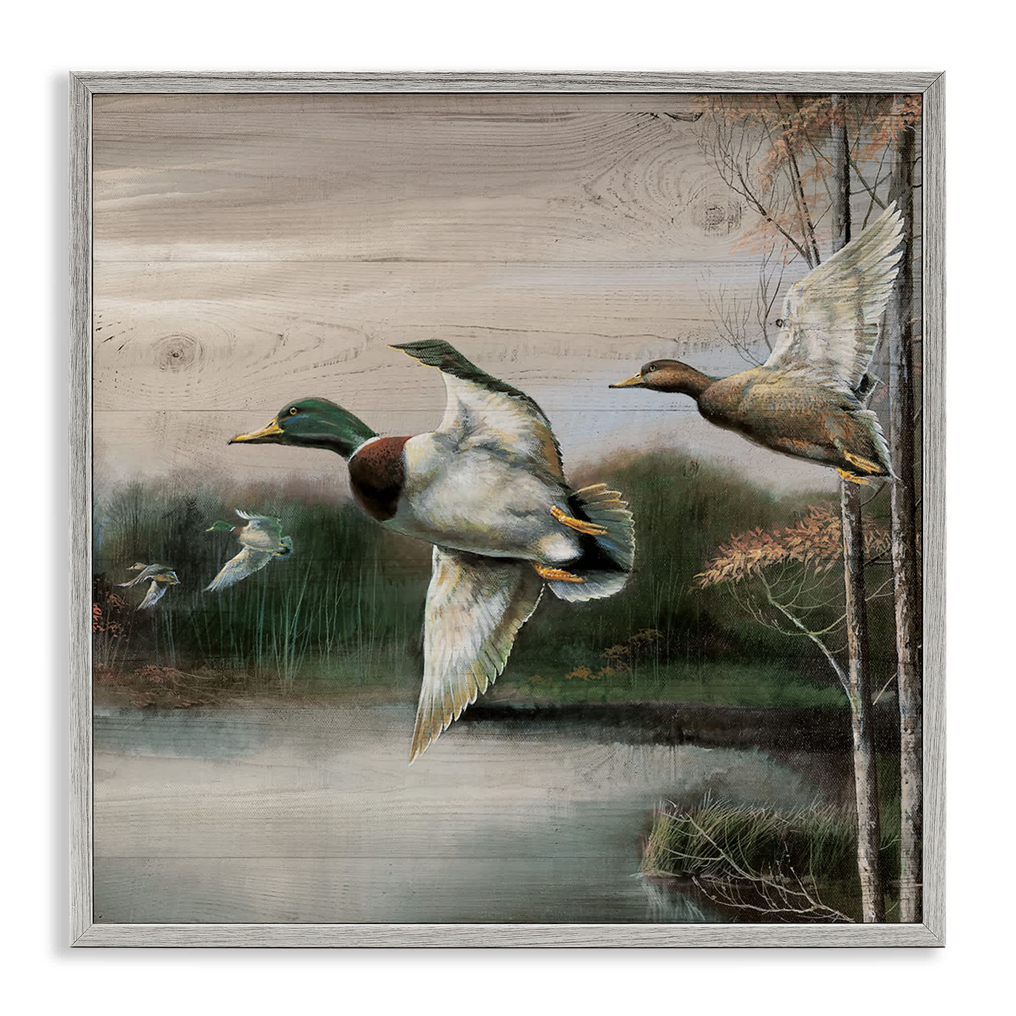 Stupell Industries BS-213-GFF-17X17 Flying Ducks in Rustic Nature Gray Framed Giclee Art By Ruane Manning 17 x 17