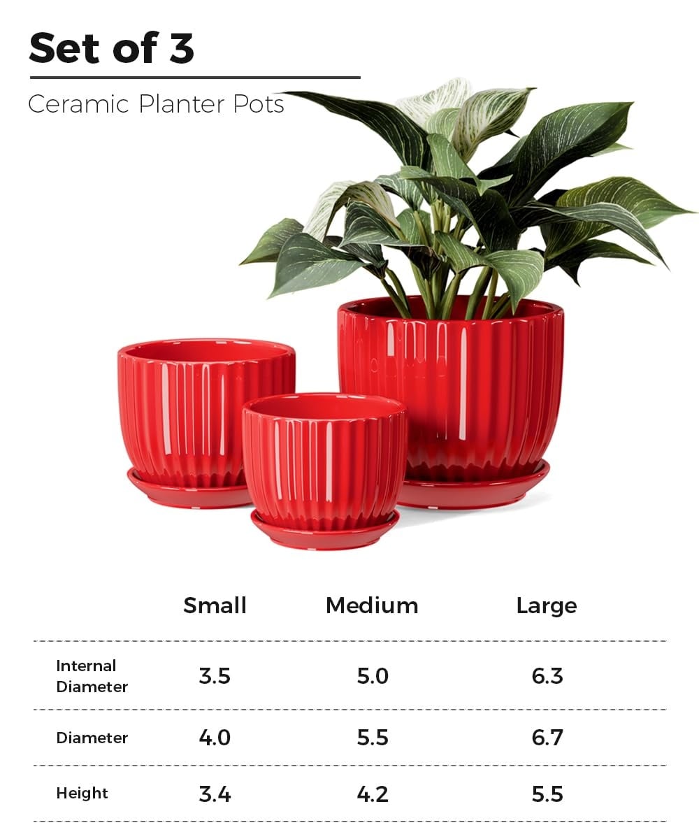 Justincity LJT0520J050 Planter-Window-Box - View #3