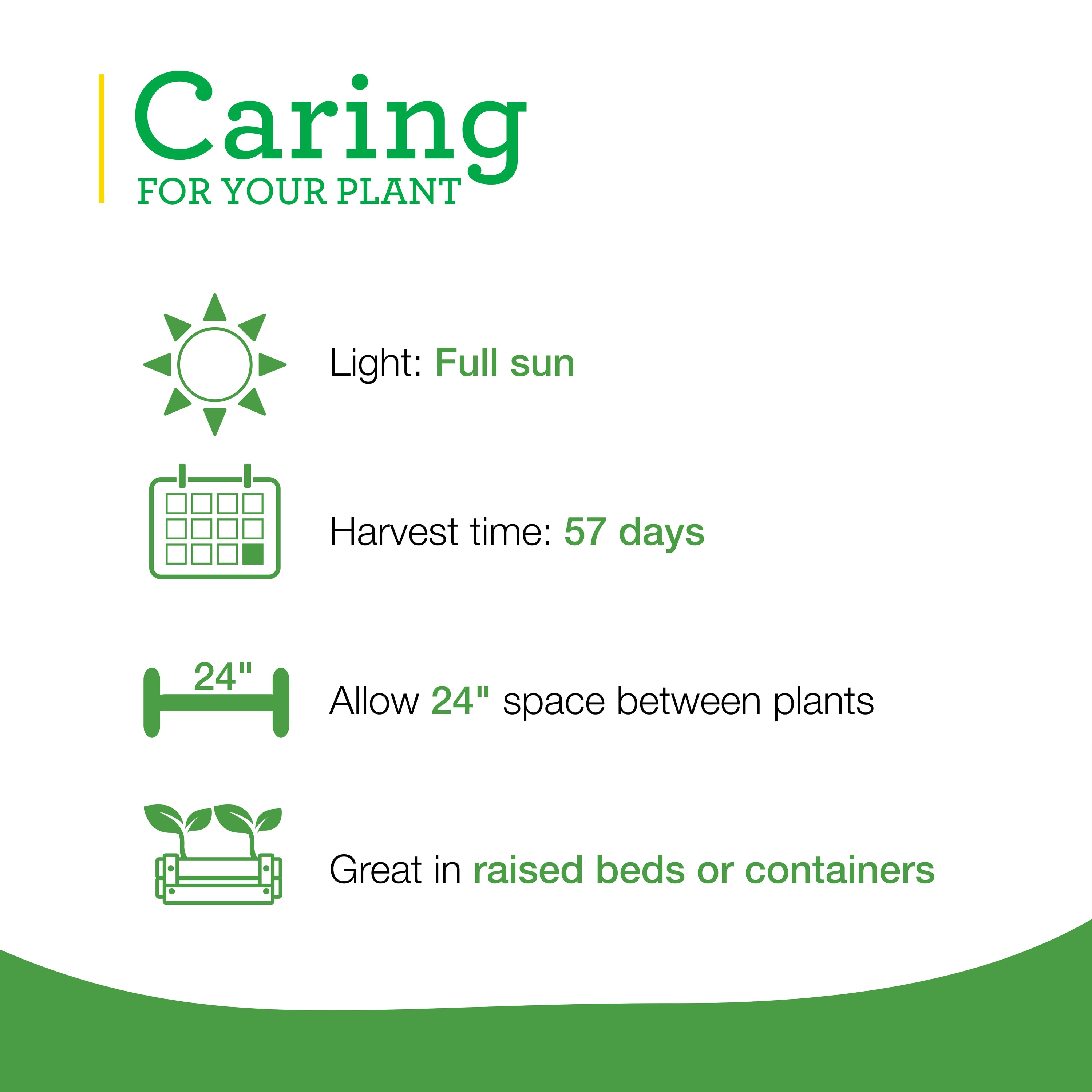 Bonnie Plants 202392 Vegetable-Plants - View #5