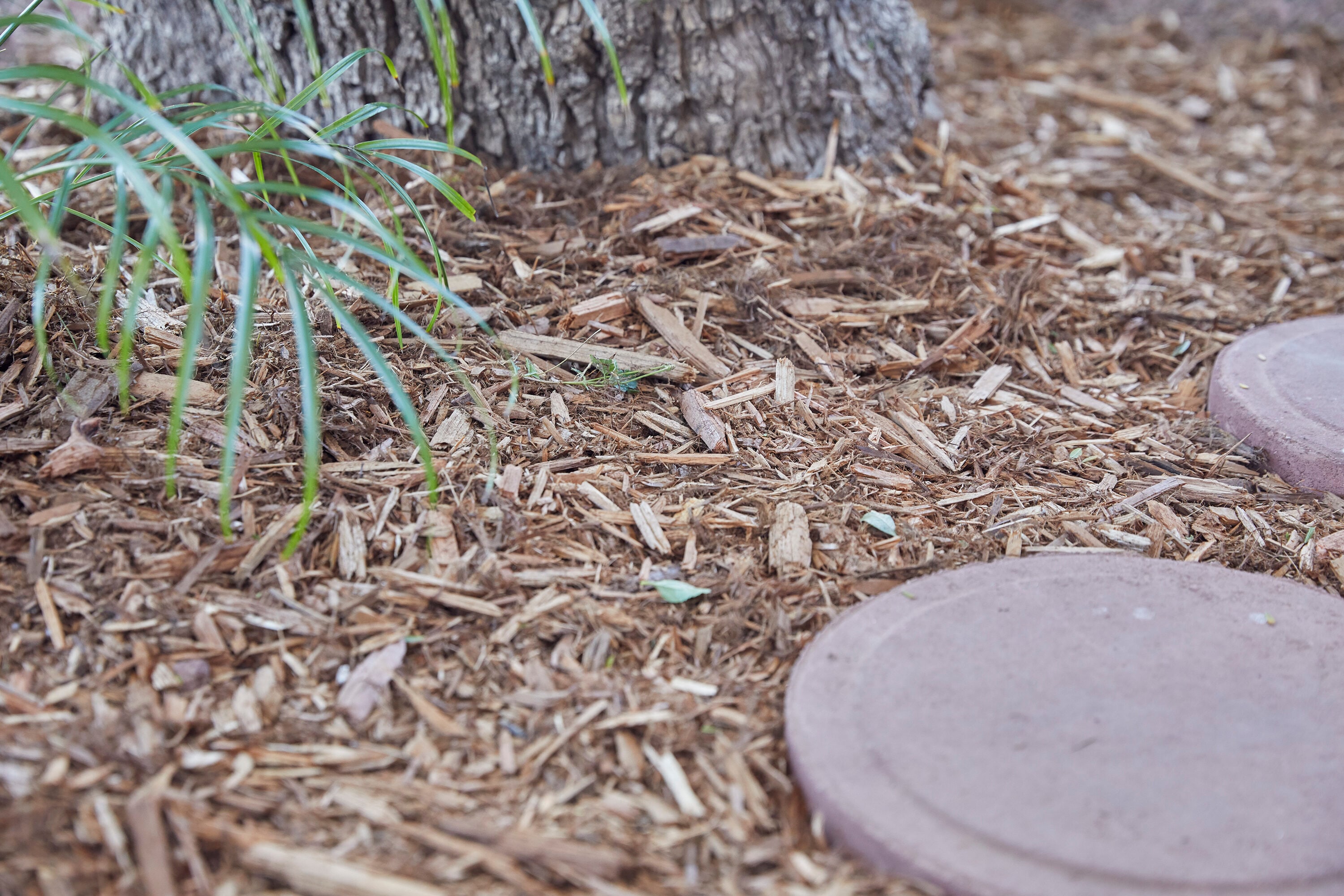 Wallace Farm 2 Cu Ft Brown Pine Bark Mulch In The Bagged Mulch