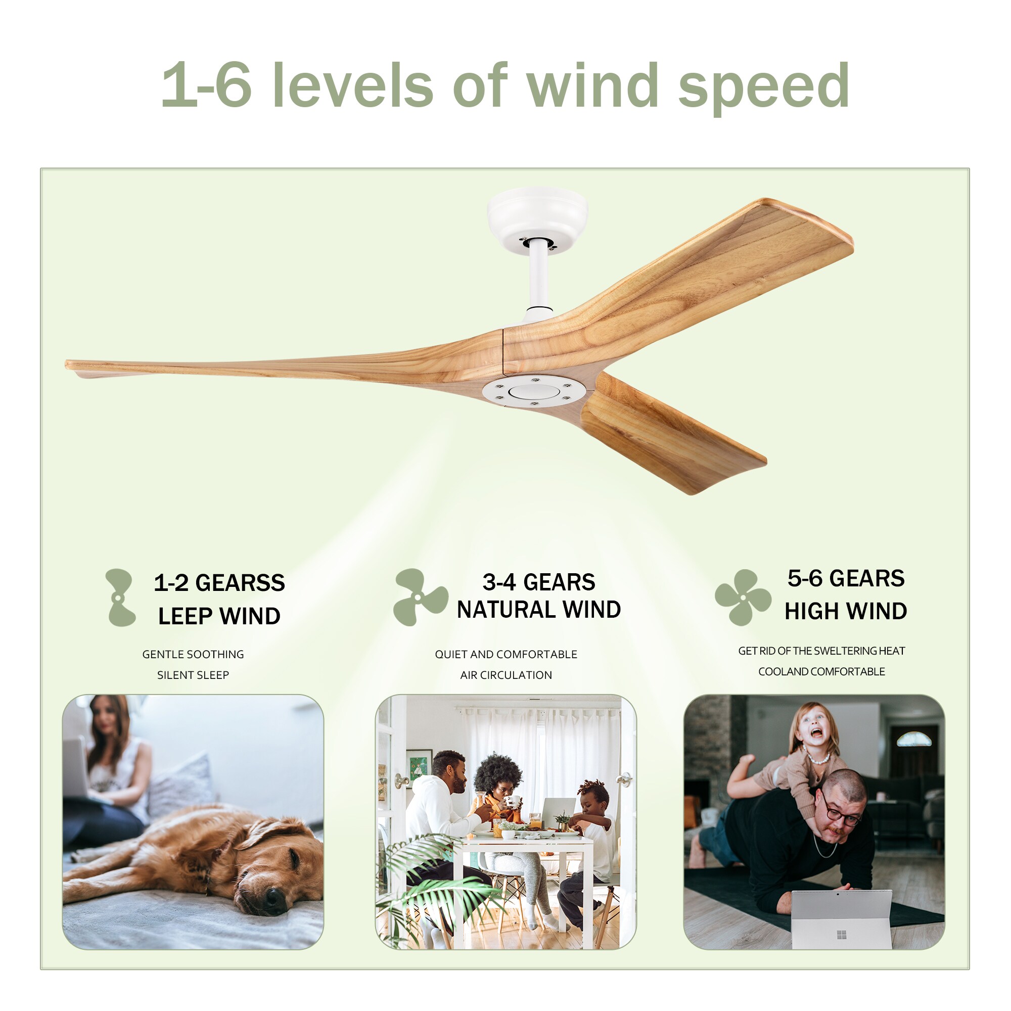 Huluwat DJ-P189842 Ceiling-Fans - View #11