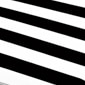 Black Cabana Stripe