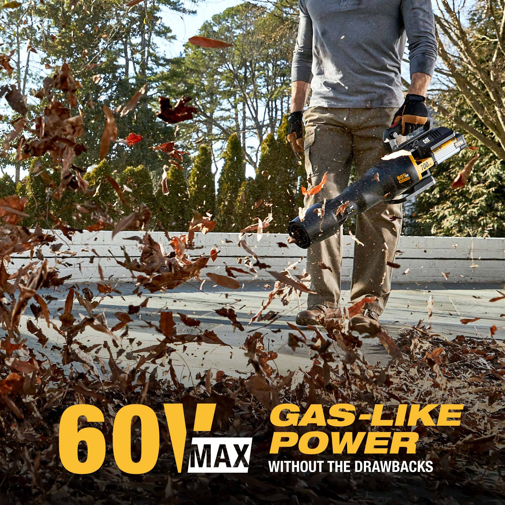 CAT DG650.9 Cordless-Electric-Blowers - View #7