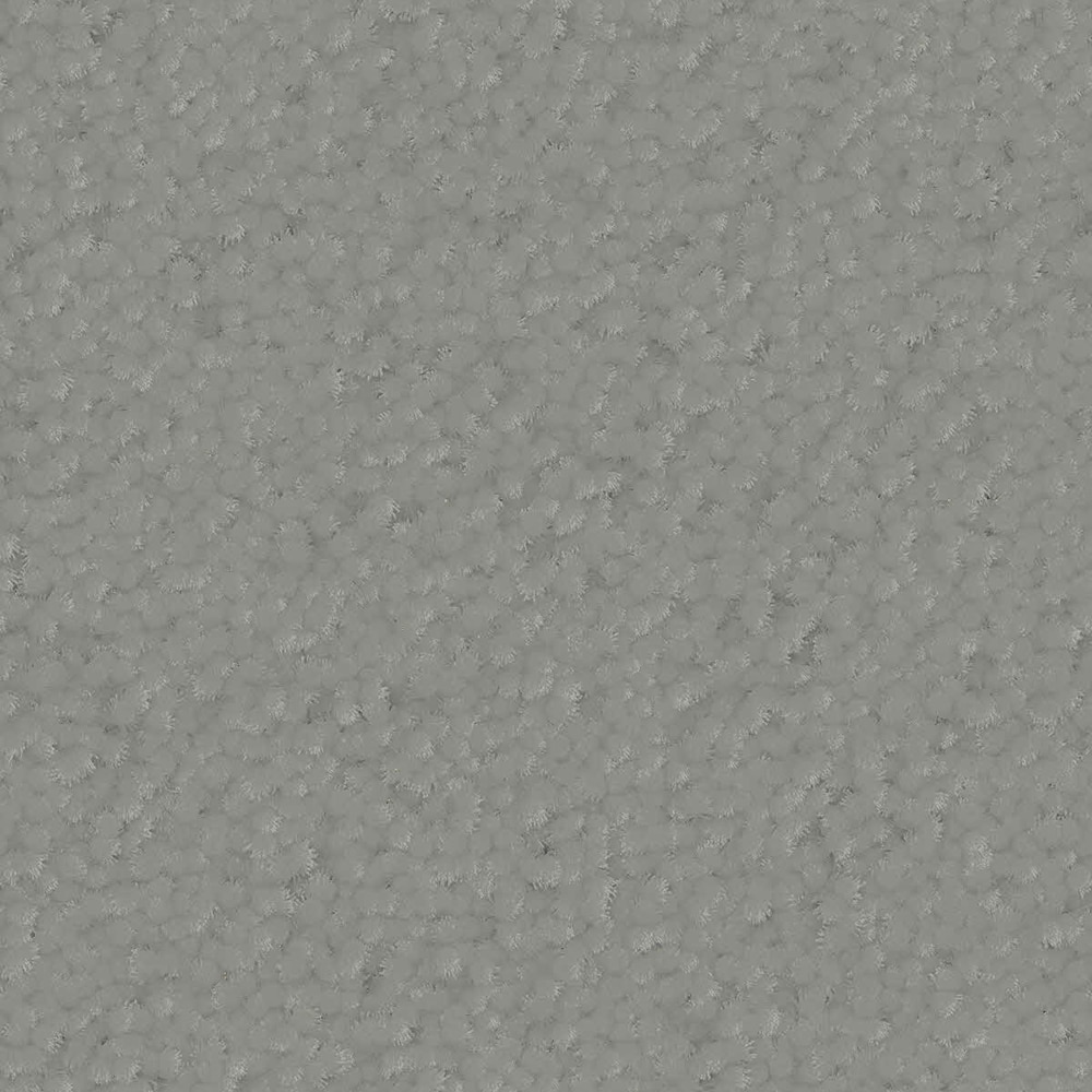  LC72-12-L007 Home and Office Trend Influencer 36 Nickel Plated Gray 36-oz sq yard Nylon Textured Indoor Carpet