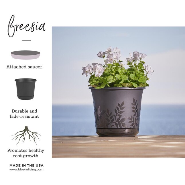 Bloem Freesia Planter w/ Saucer 12 Bloem Freesia Planter w/ Saucer 12
