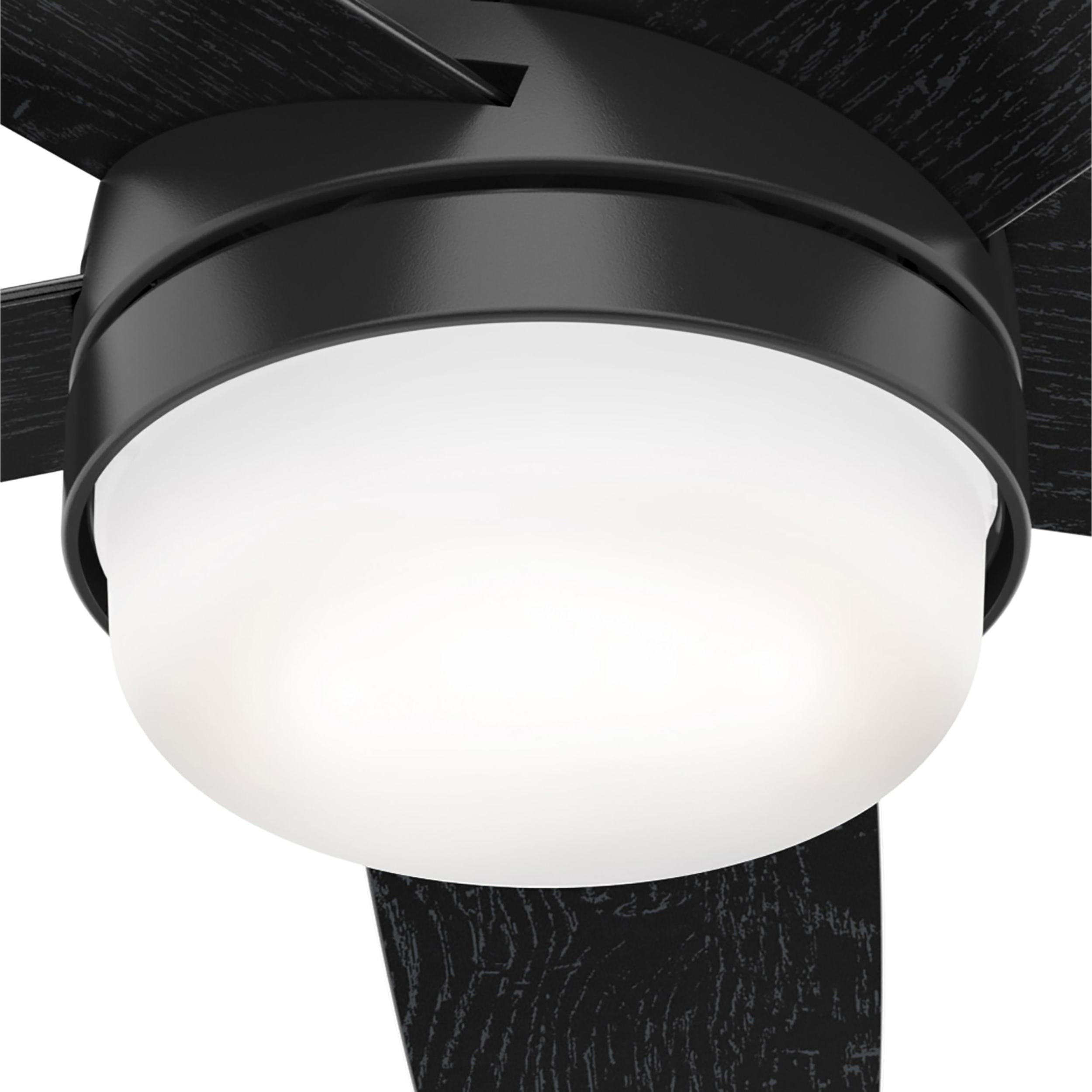 Hunter 51350 Ceiling-Fans - View #14