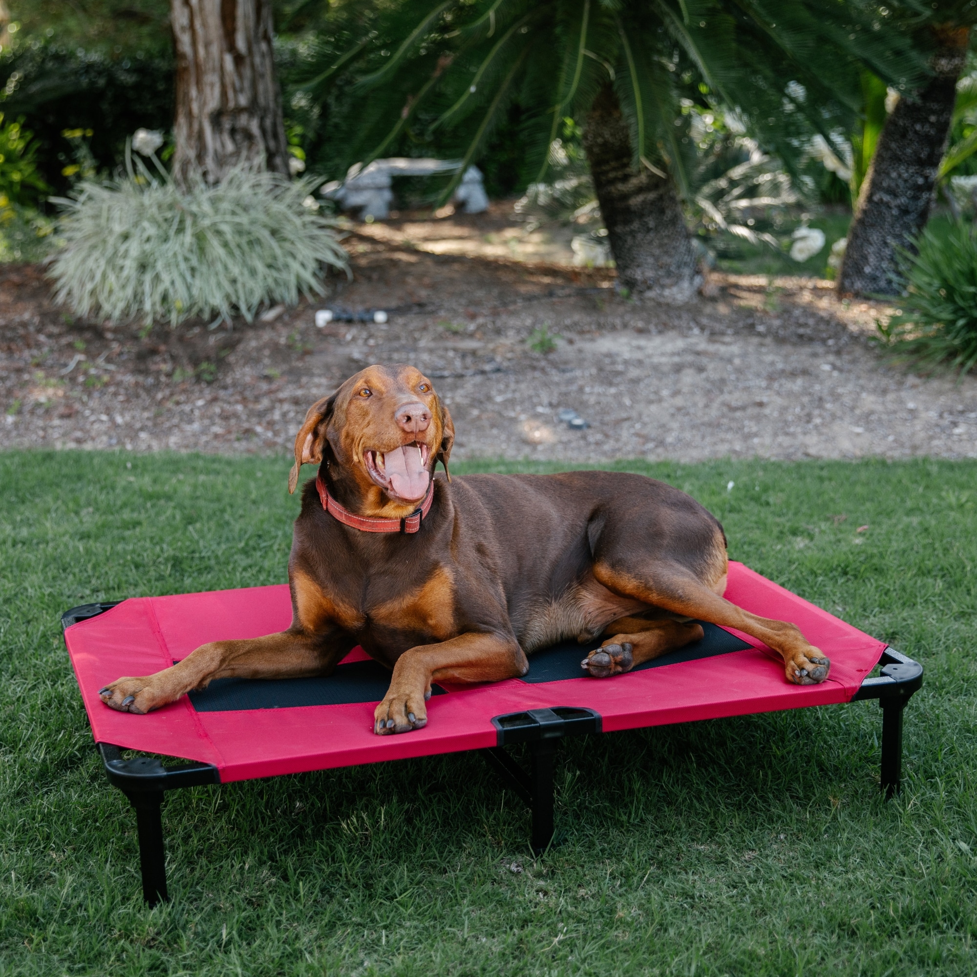 Lucky Dog CMB 10142 Pet-Beds - View #8