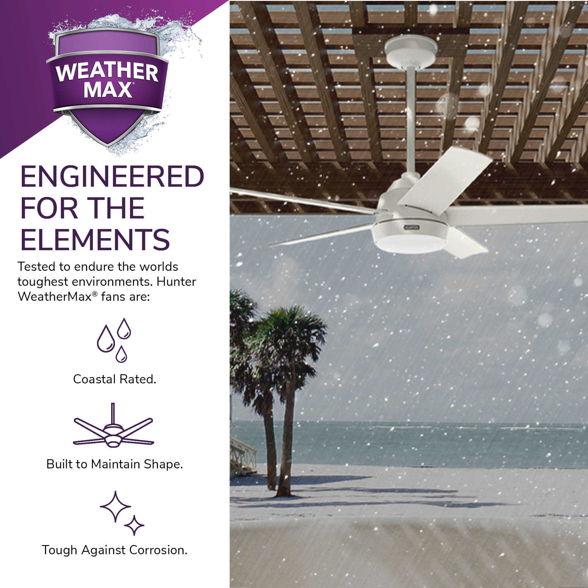 Hunter 52611 Ceiling-Fans - View #19