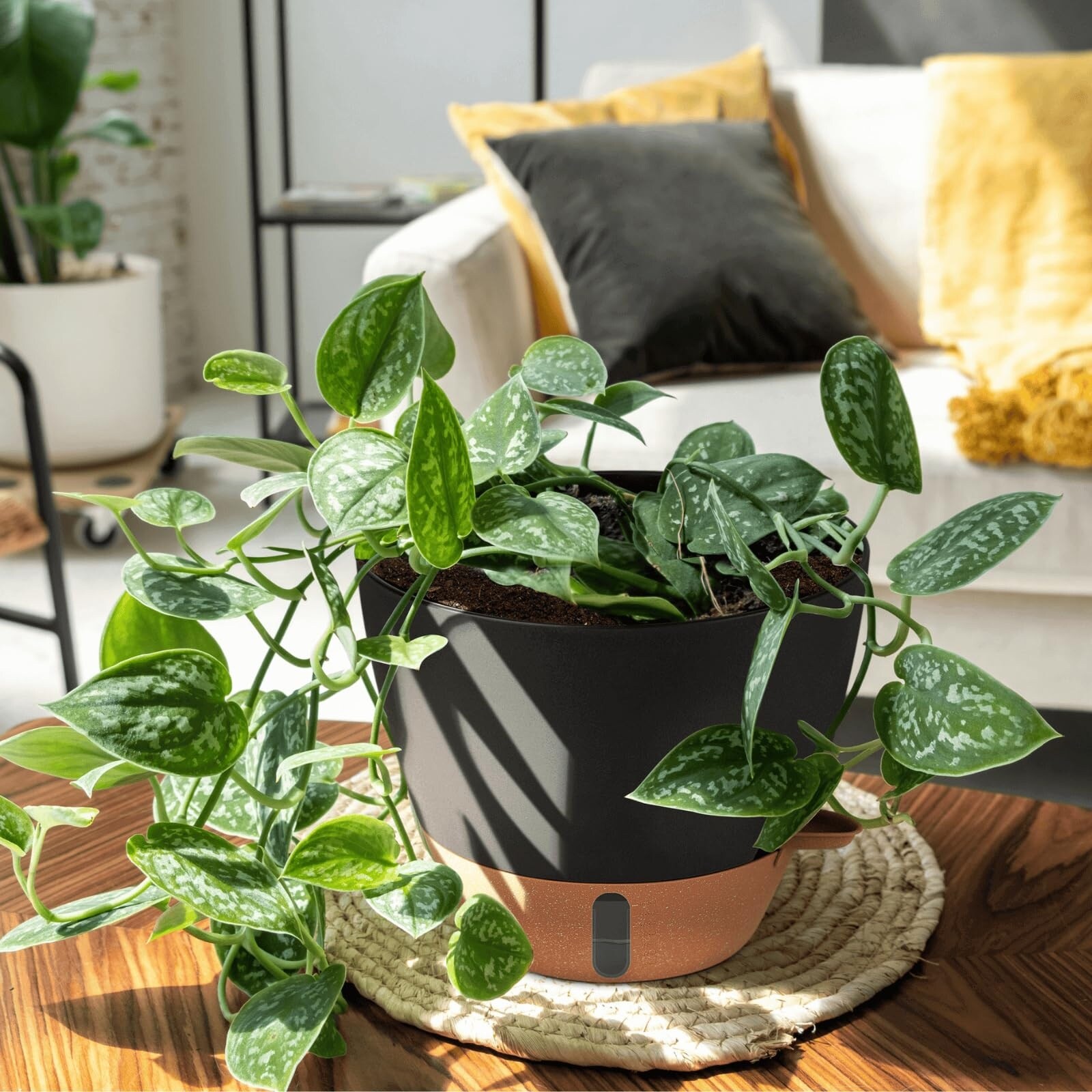 Adrinfly LAD0520D075 Planter-Window-Box - View #9