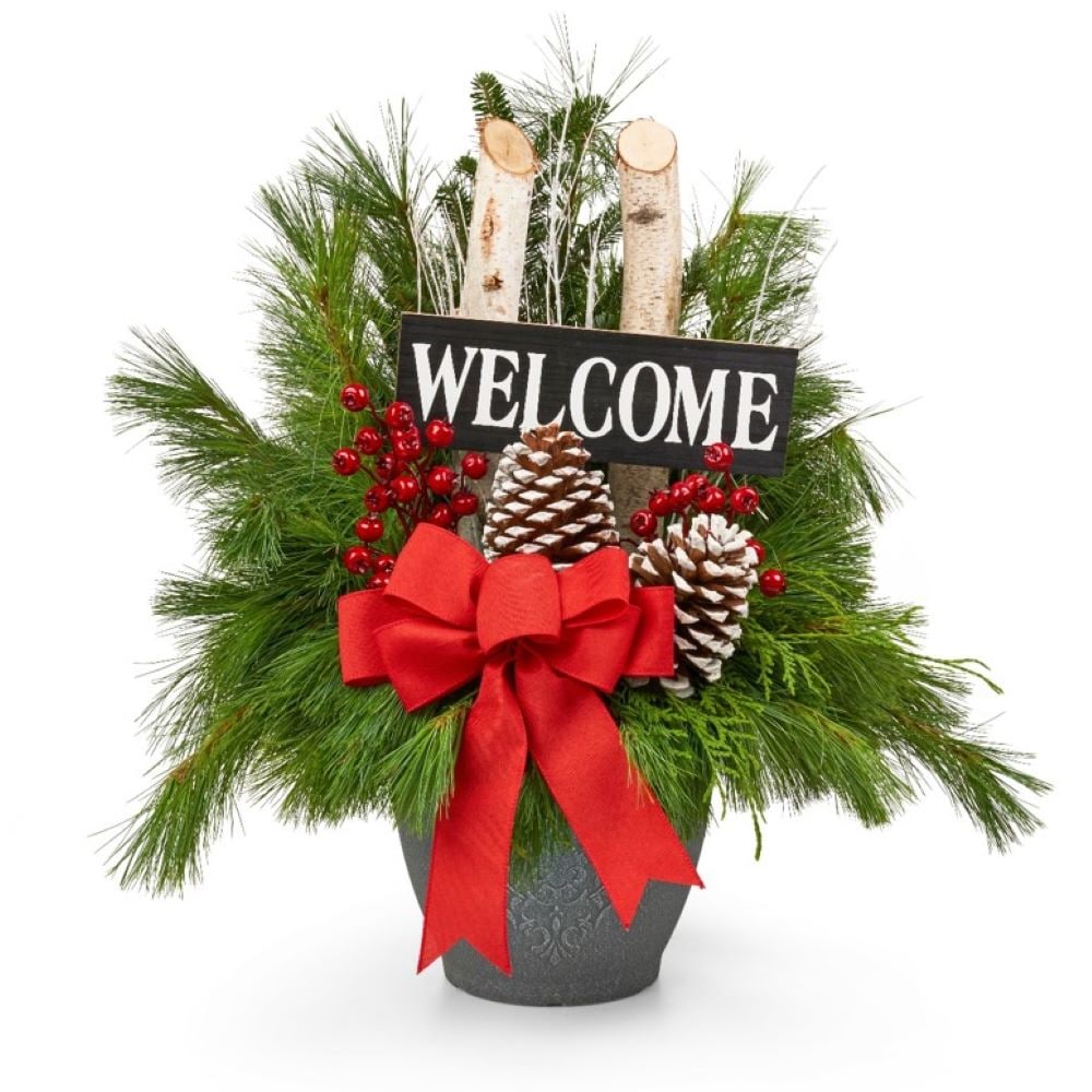 Brookdale Treeland Nurseries 9DCUWLU133 1 -in Fresh Christmas Potted Greenery