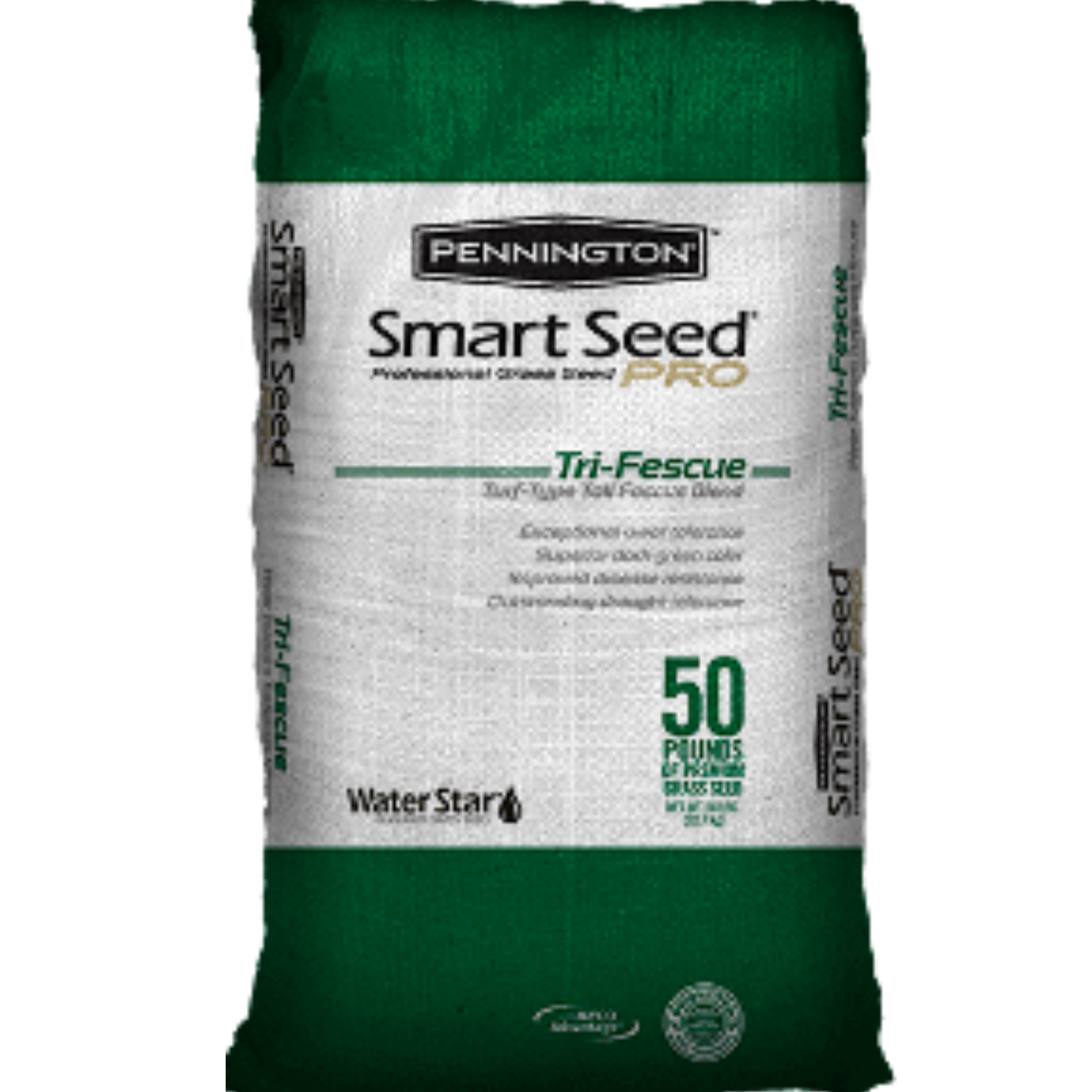 Pennington SS-TFPRO-10 10-lb Fescue Grass Seed