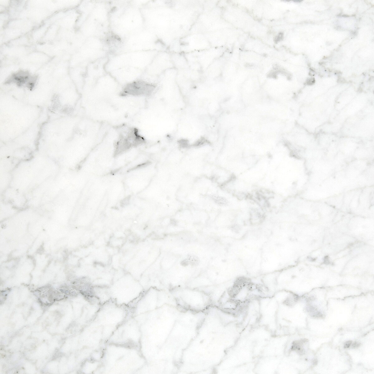 Emser BIANCO GIOIA 10-Pack Bianco Gioia Nantes 12-in x 12-in Honed Natural Stone Marble Stone Look Floor and Wall Tile